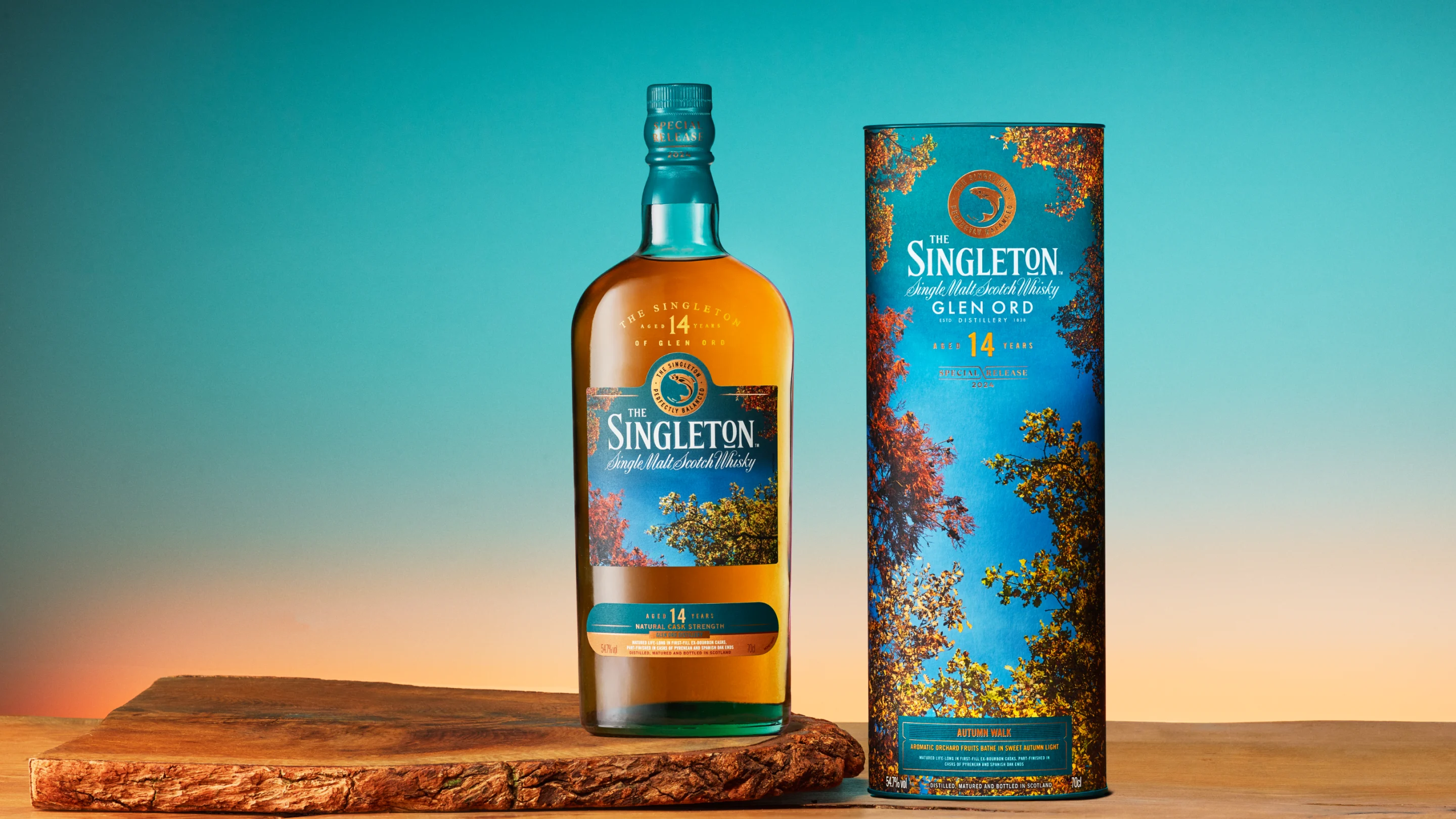 The Singleton of Glen Ord Autumn Walk