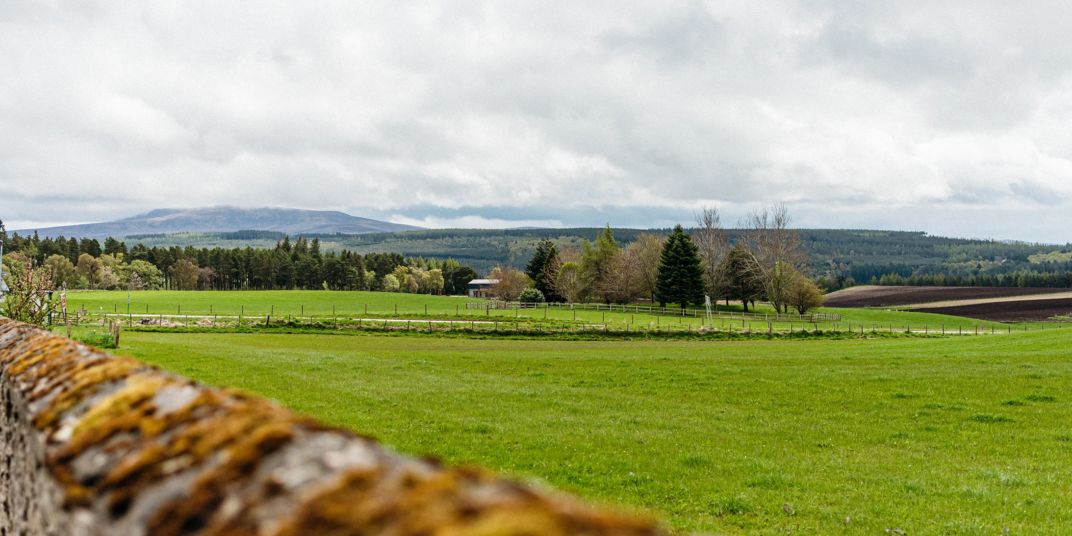 Scenic view of Speyside whisky distillery surrounded by rolling hills and trees in Scotland.