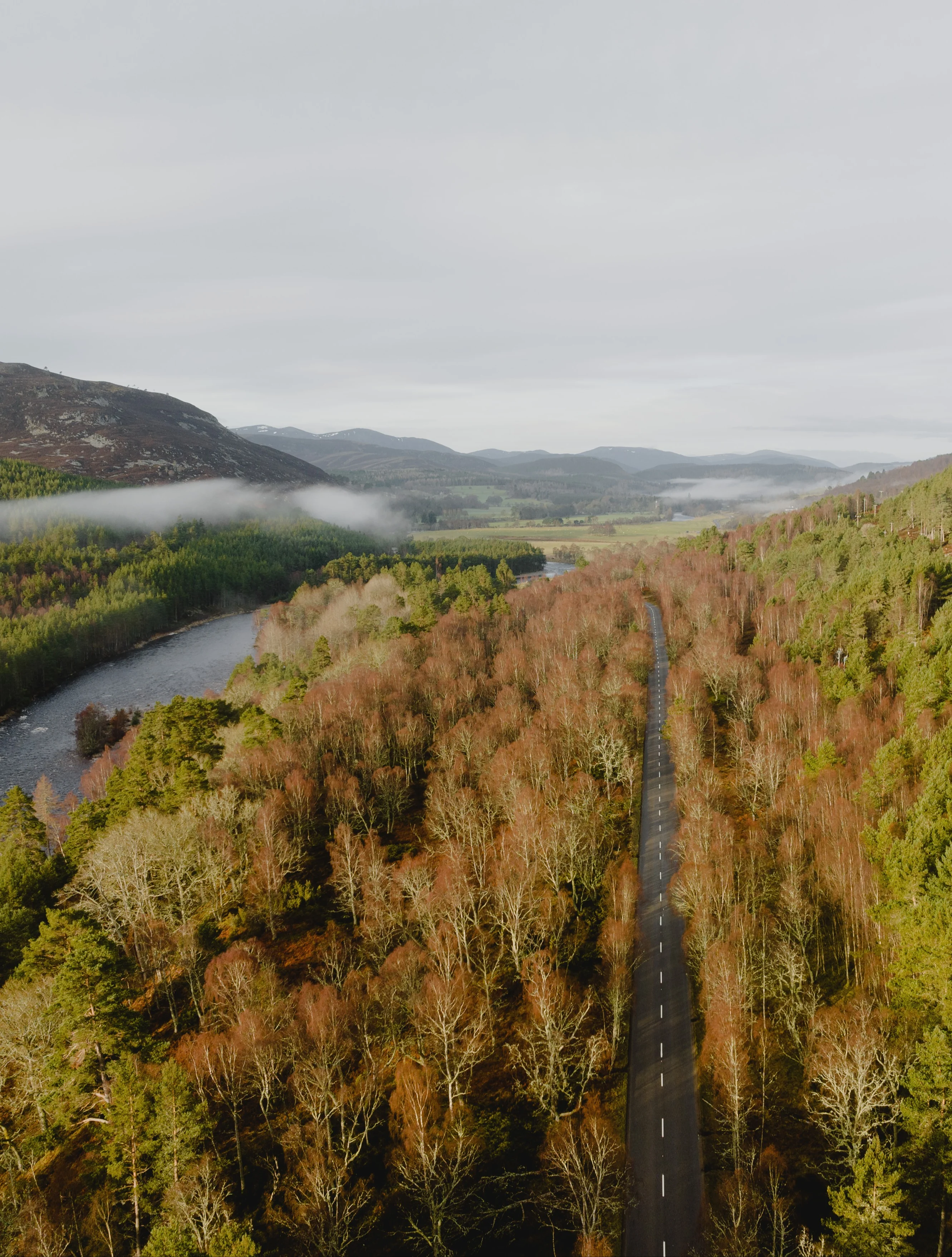 A Scottish road through a forest, near a river covered with low hanging fog.