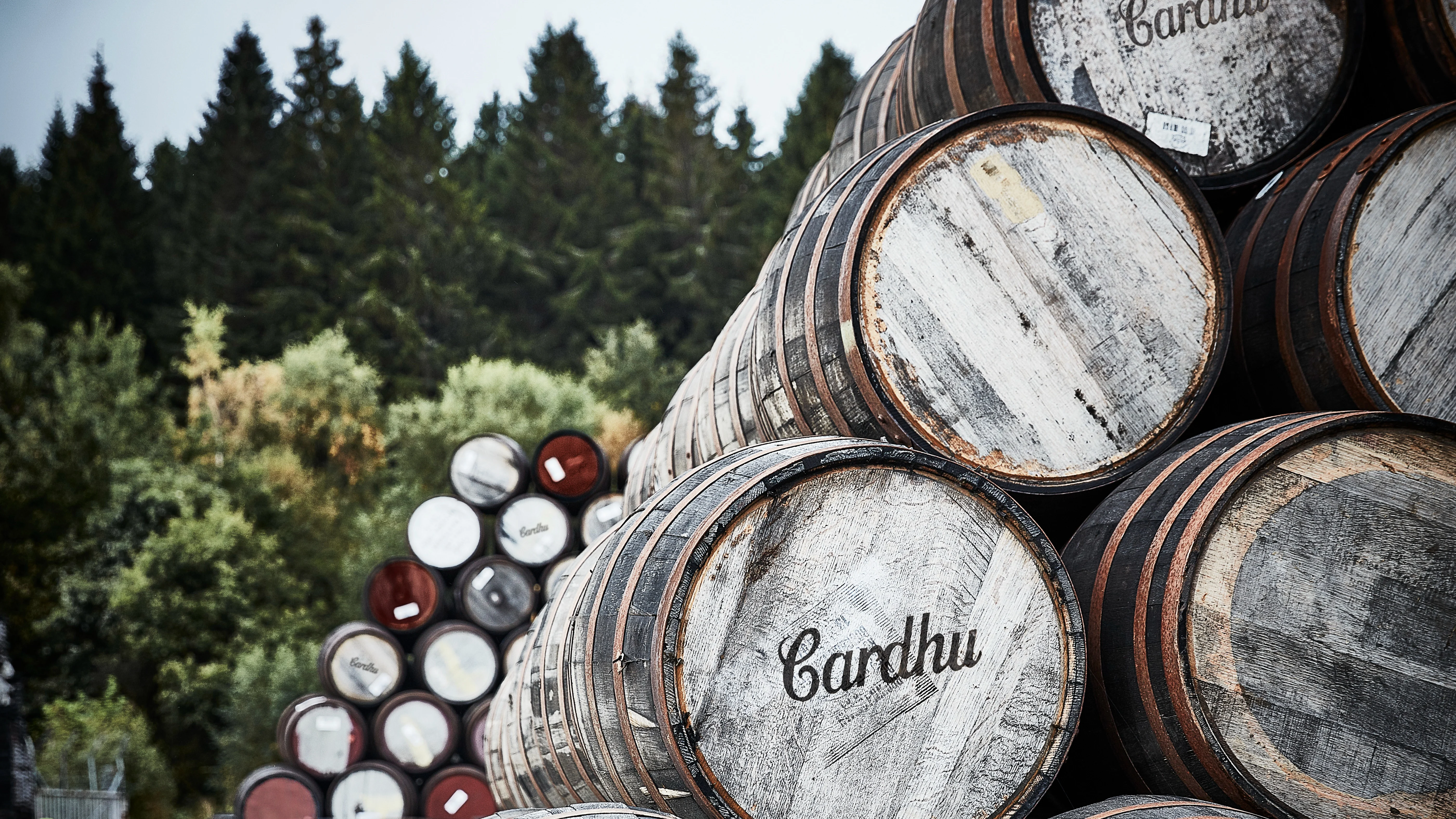 Een stapel whiskyvaten buiten, sommige met het Cardhu-logo, tegen een grijze lucht en een achtergrond van groene dennenbomen.