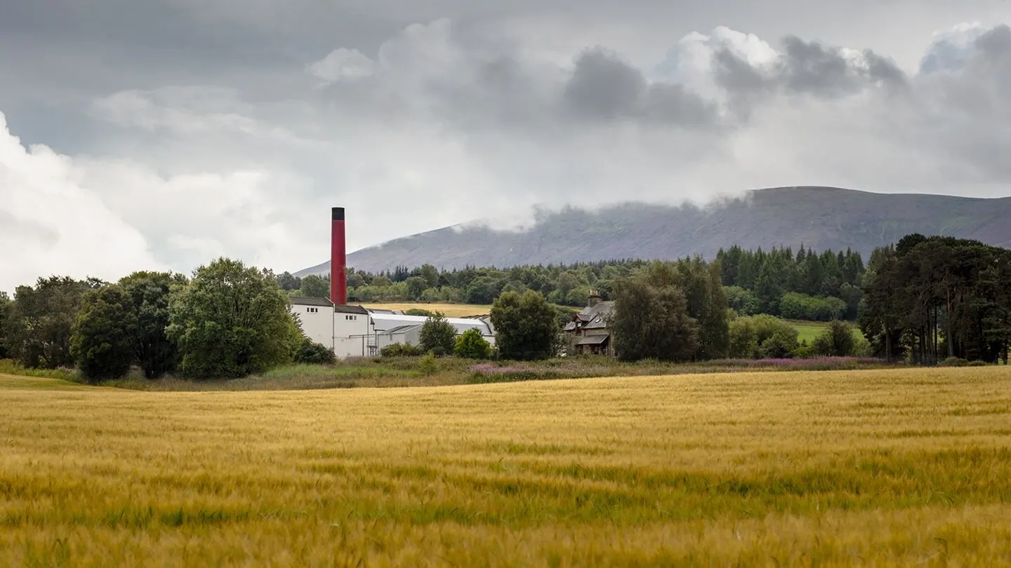 Die Benrinnes-Destillerie hinter einem goldenen Weizenfeld.