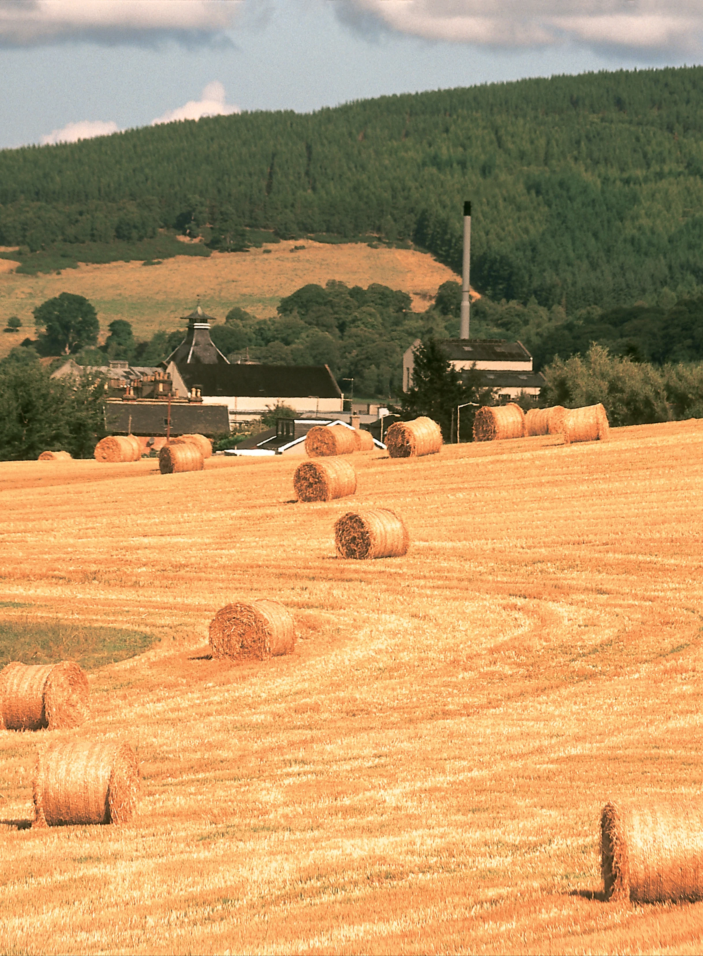 Golden hay bales on rolling hills in the Scottish countryside.