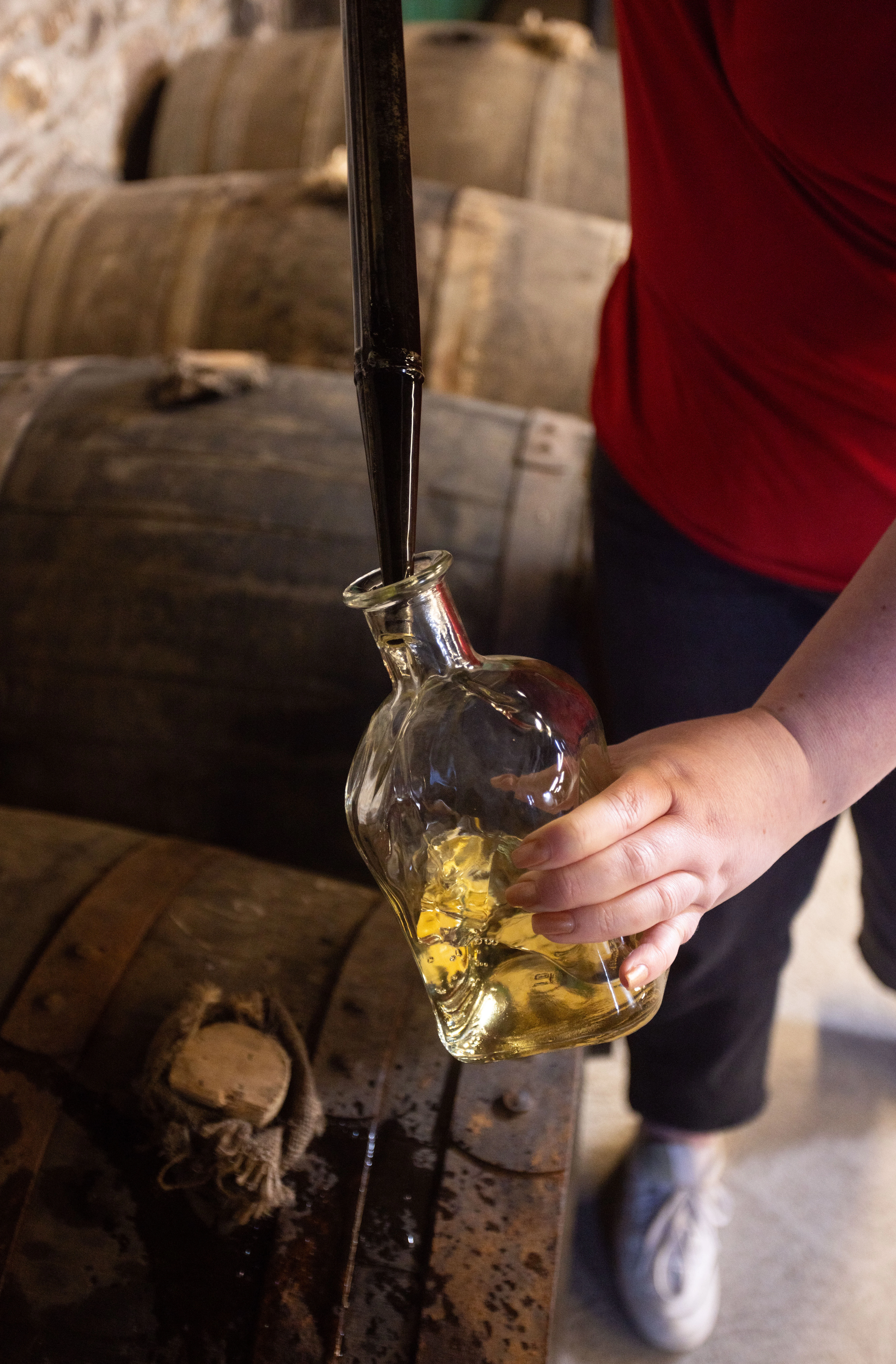 Cardhu: Experience The Influence of the Cask