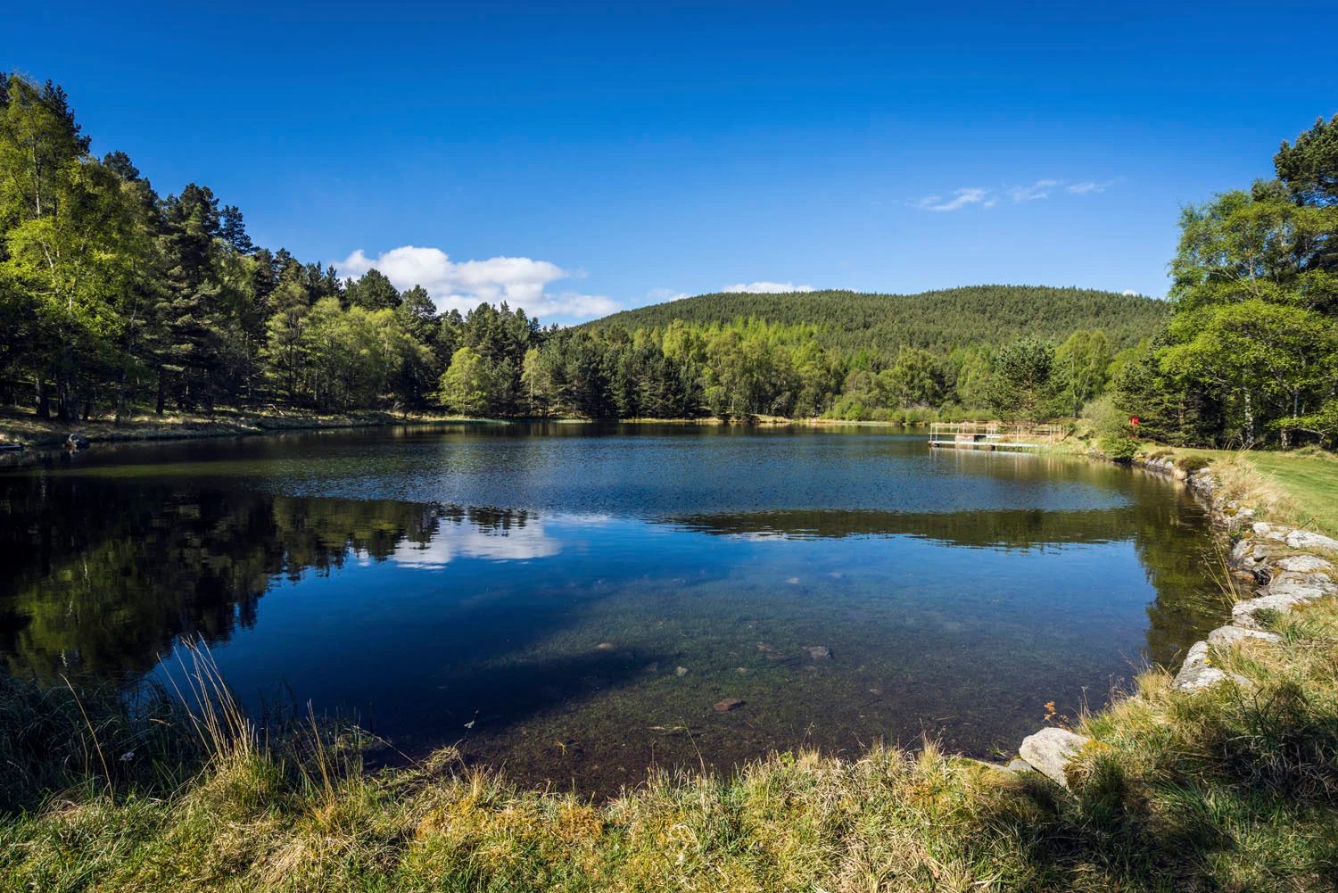 Royal Lochnagar Spring to Spirit