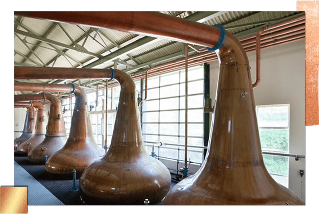 单人蒸馏厂的 6 个大型蒸馏器