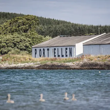 Two swans and their cygnets swim on a blue body of water in front of the white walls of Port Ellen’s distillery building. On one wall, are the words ‘Port Ellen’, Behind the building are hills covered in green trees.