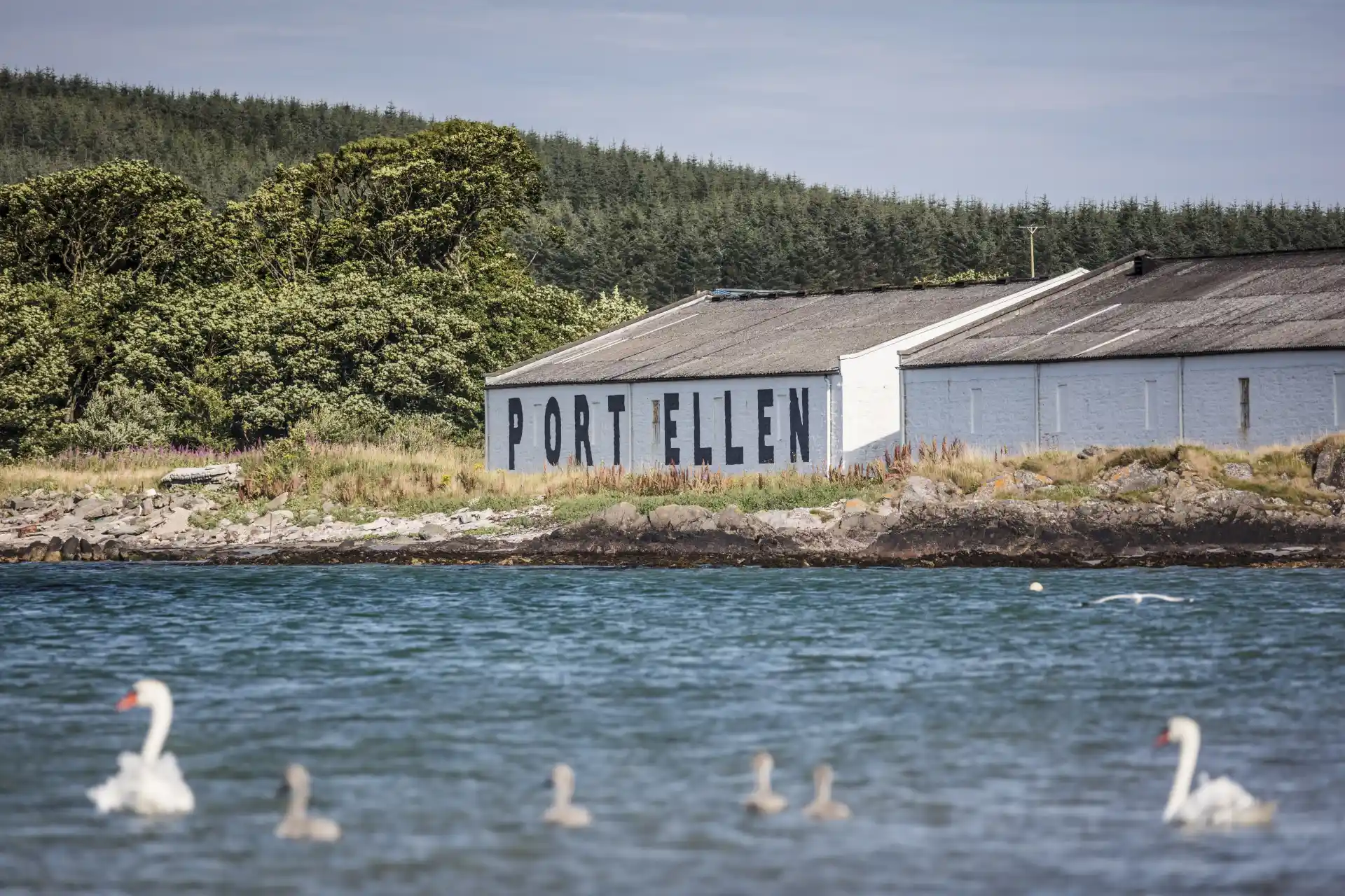 Twee zwanen en hun jonkies zwemmen in een blauw water voor de witte muren van het gebouw van de distilleerderij van Port Ellen. Op één muur staan de woorden 'Port Ellen'. Achter het gebouw zijn heuvels bedekt met groene bomen.