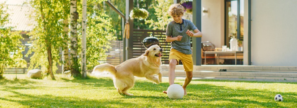 handsome-young-boy-plays-soccer-with-happy-golden-retriever-dog-at-picture-id1285465143 (2) (1)