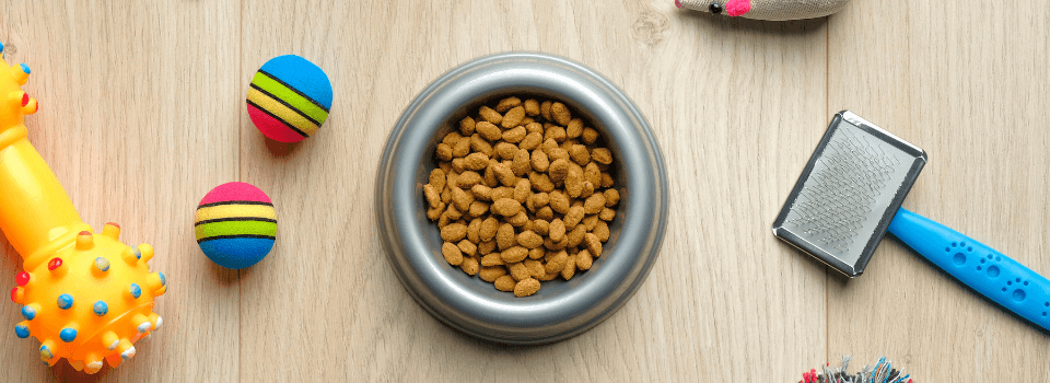 Pet-bowl-with-dog-food-and-toys-pic-ID1244472883(1)