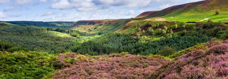 north-york-moors-near-levisham-yorkshire-uk-picture-id160815212