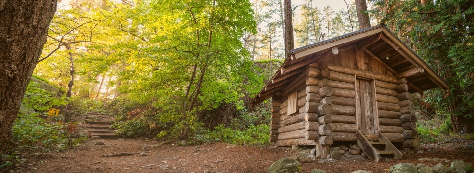 log-cabin-in-a-forest-in-the-summer-in-lighthouse-park-picture-id1136066078(1)