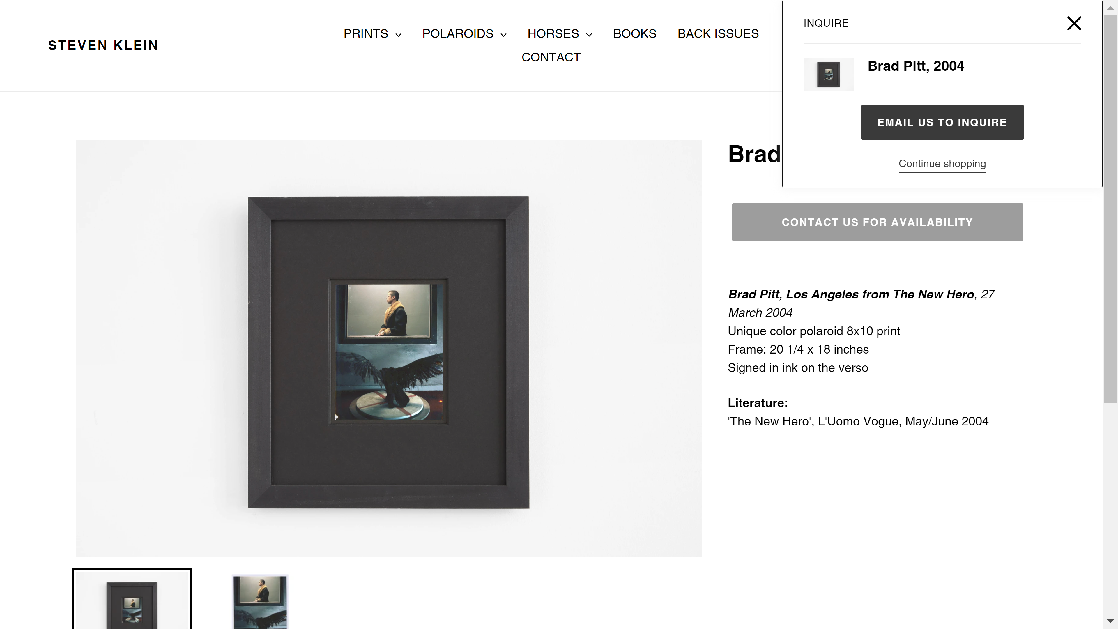 A page of the Steven Klein Shopify Store showing a custom designed inquire popup.