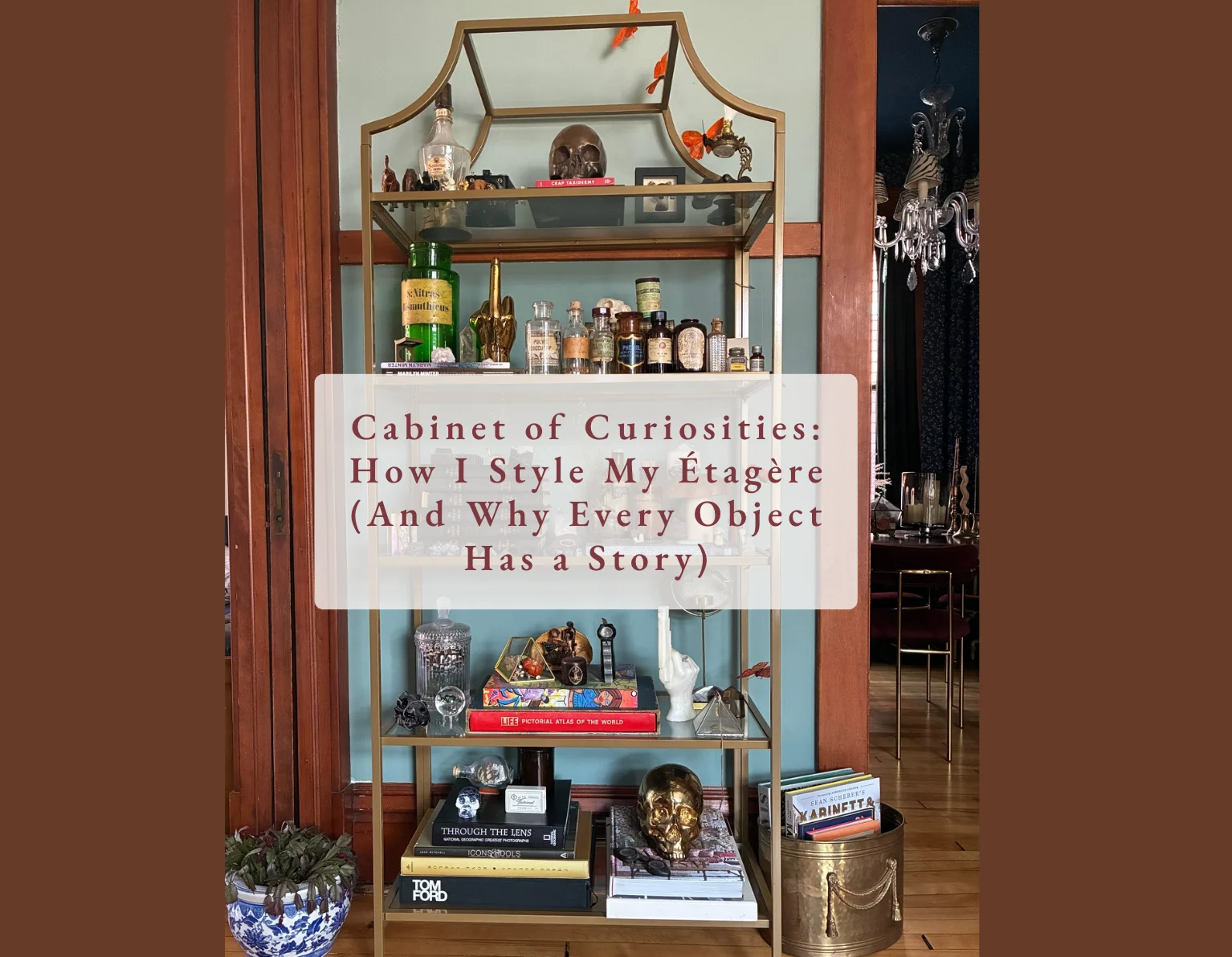 cabinet of curiosities