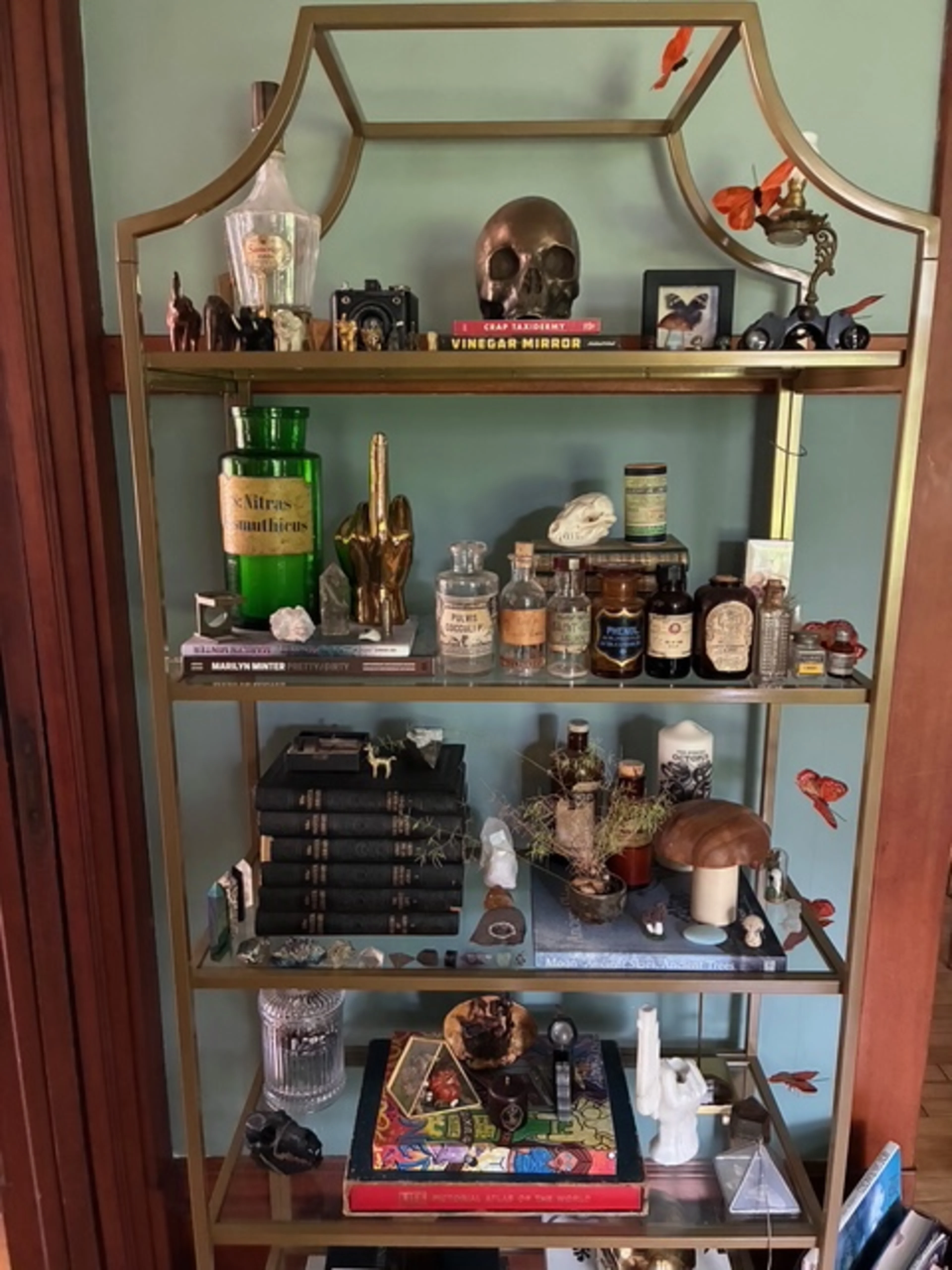 shelves 3
