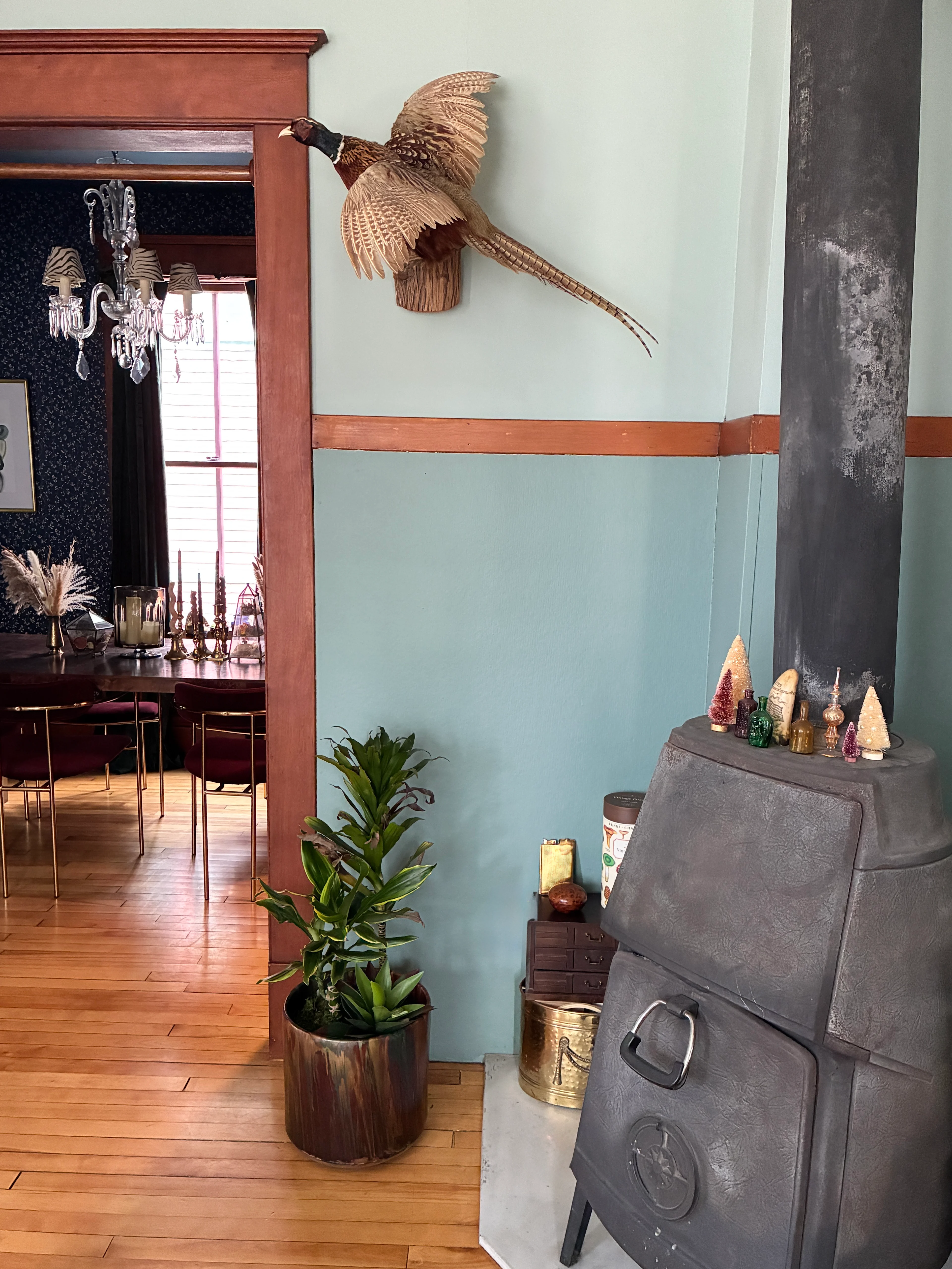 plant taxidermy
