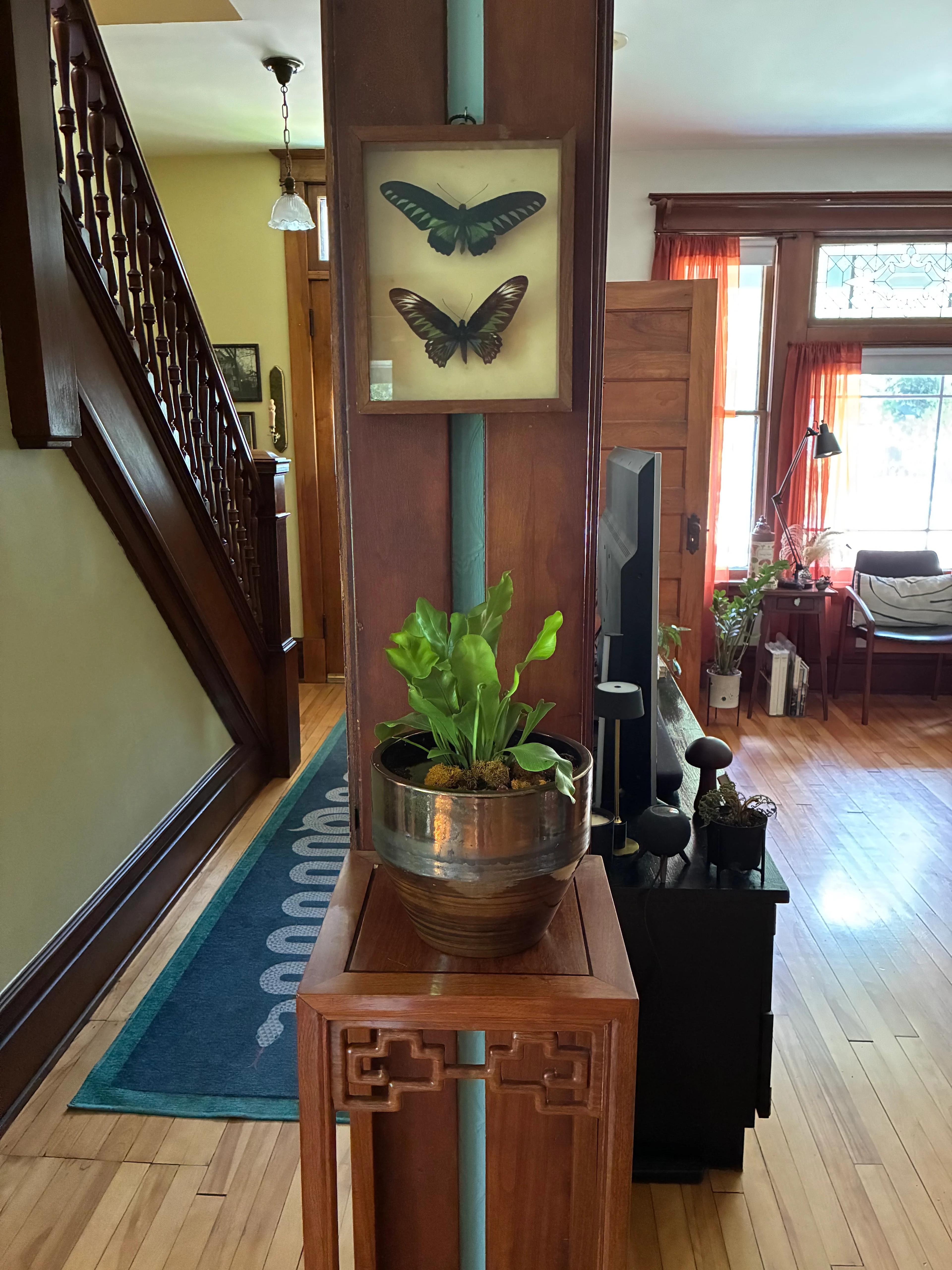 plant stand