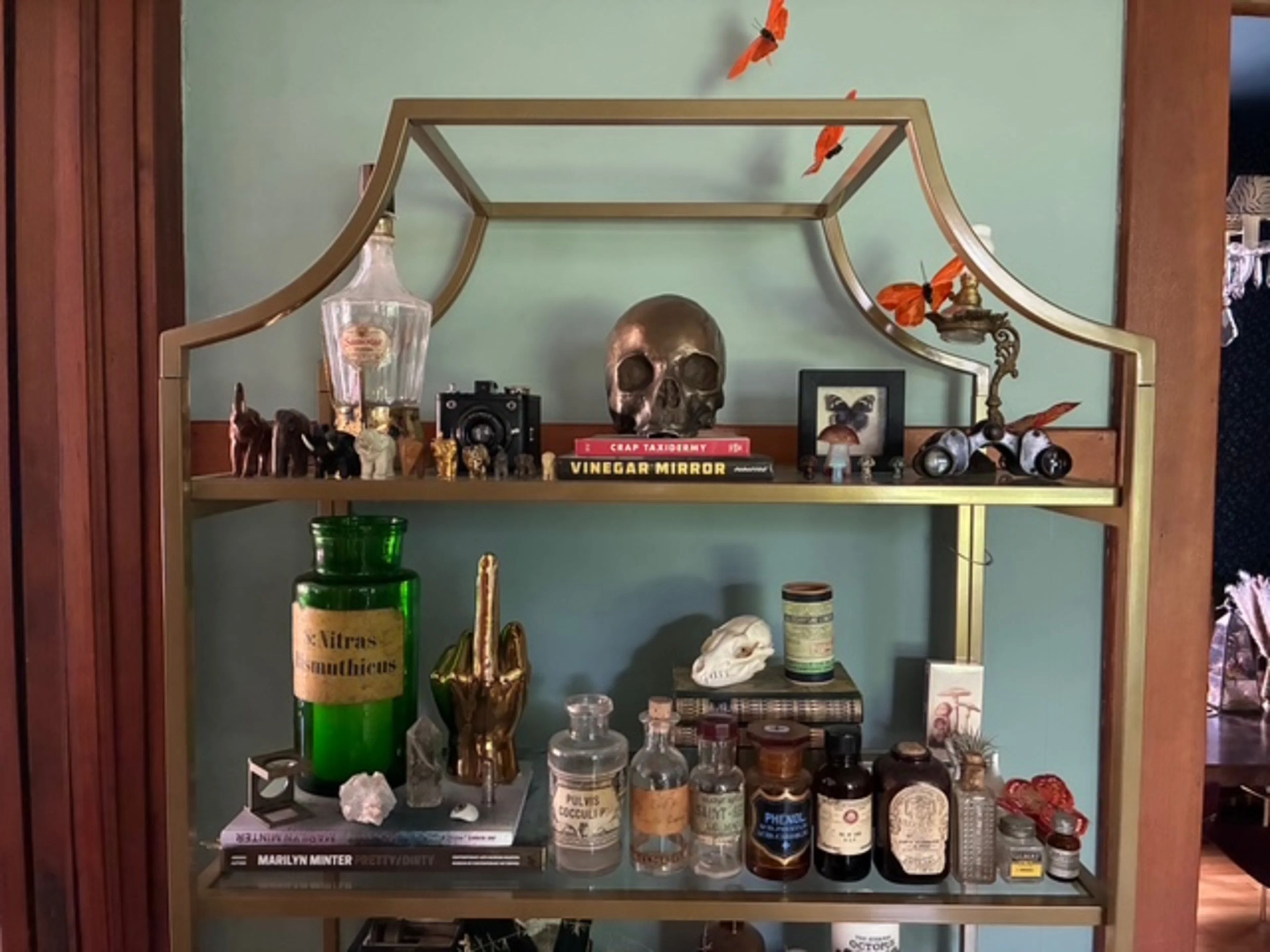 shelves 1