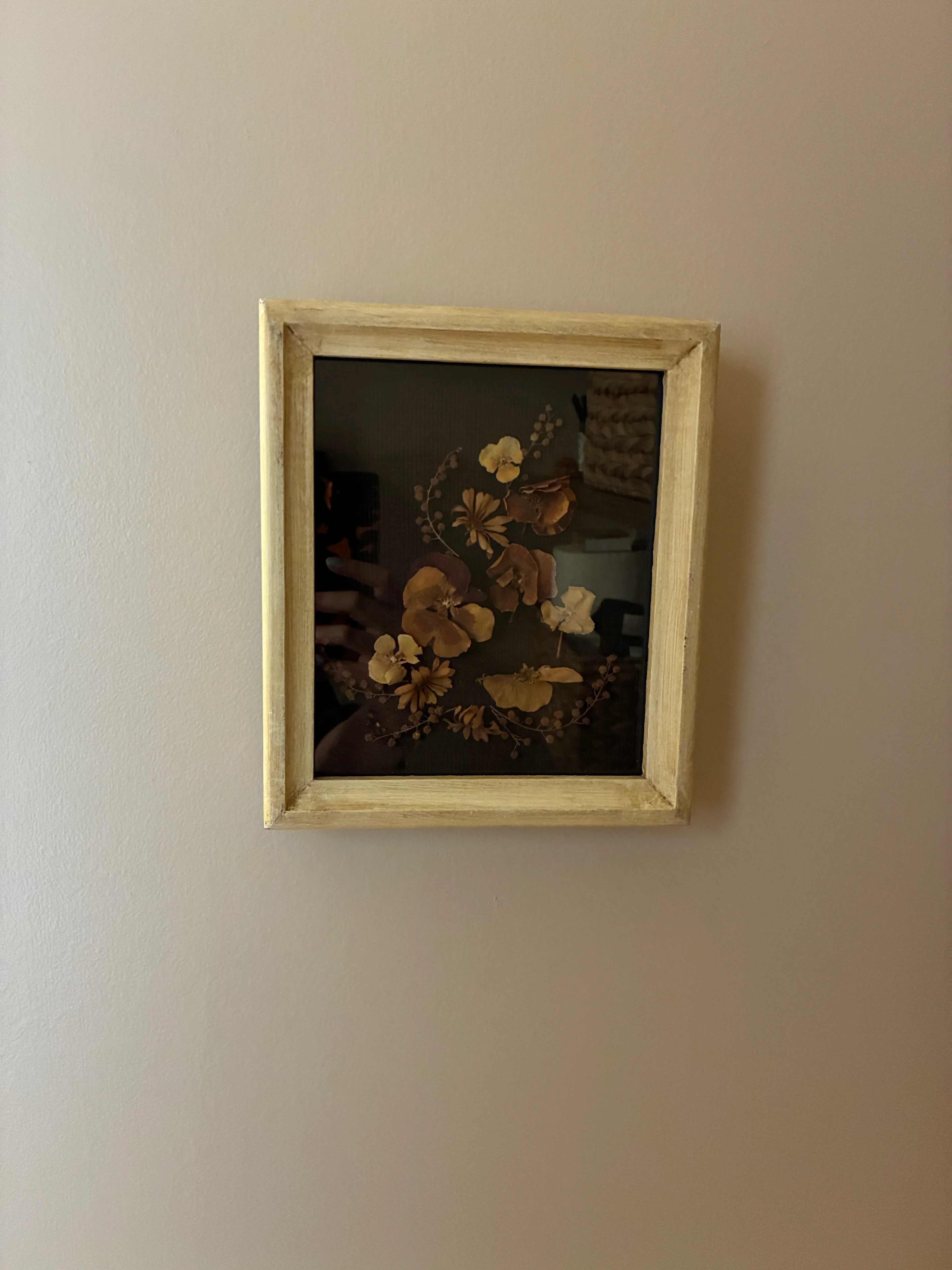 IMG 4739