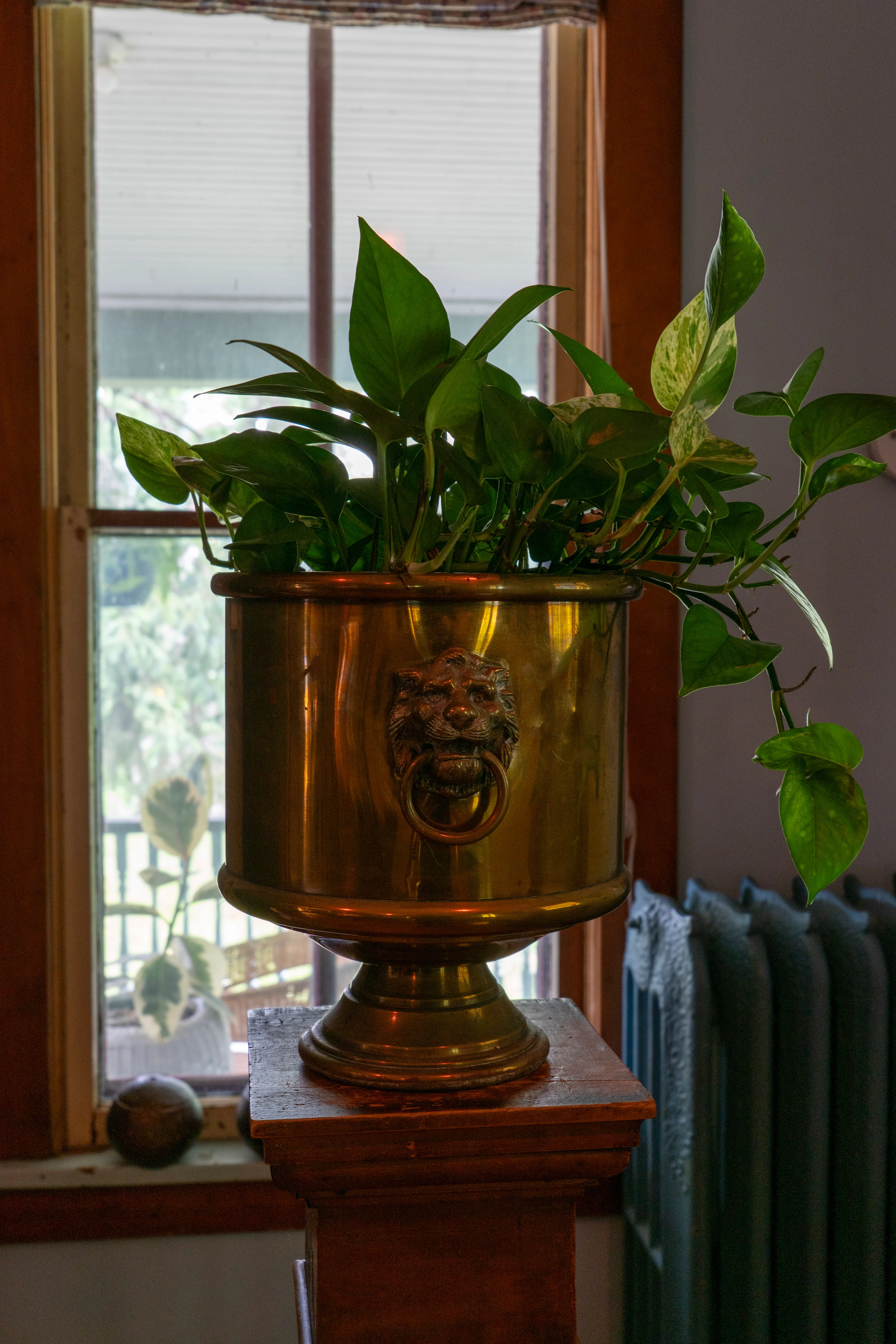 13-P1000705