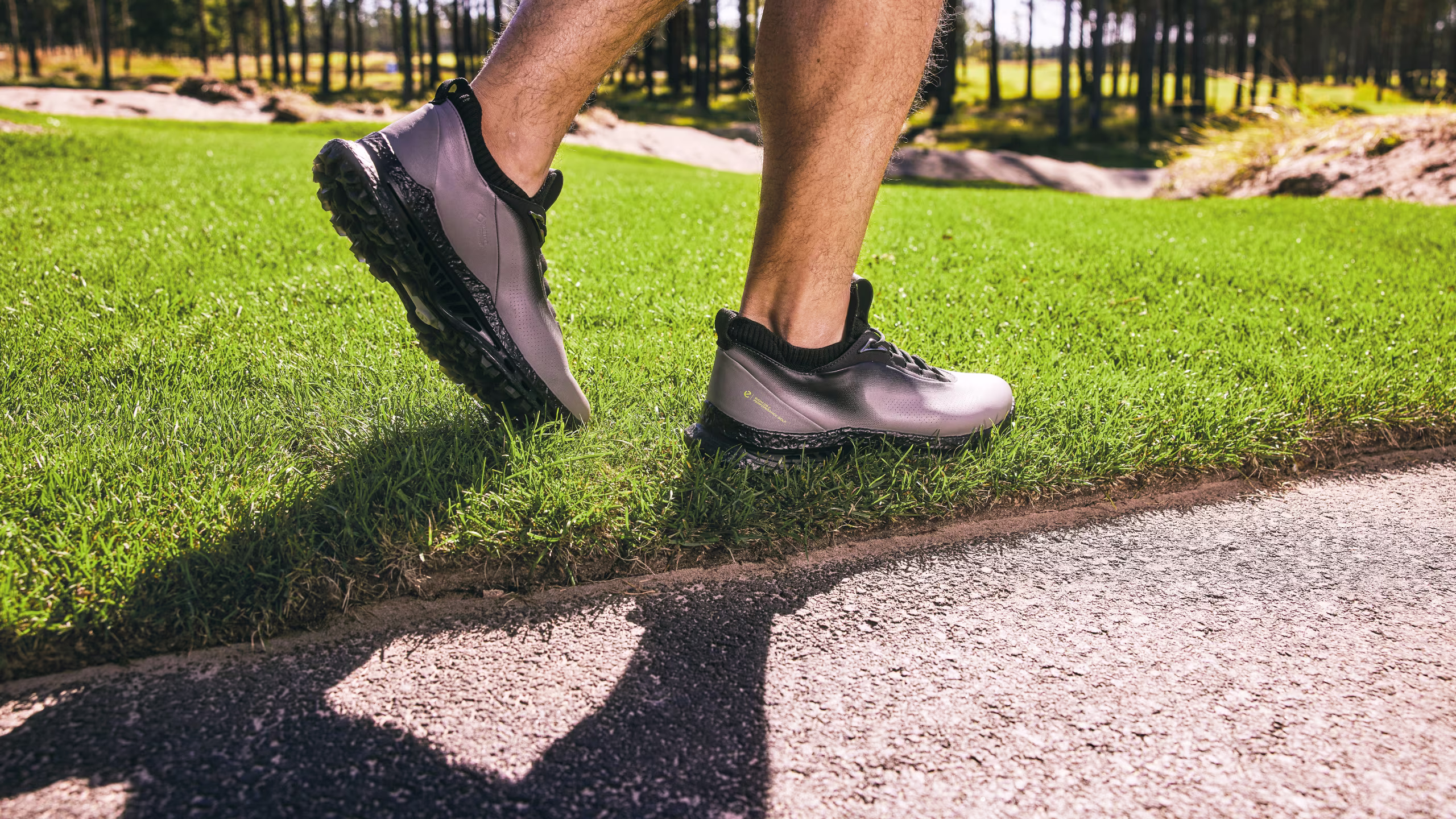 JP-260203-BIOM-C5-HERO-IMAGE-4-PC