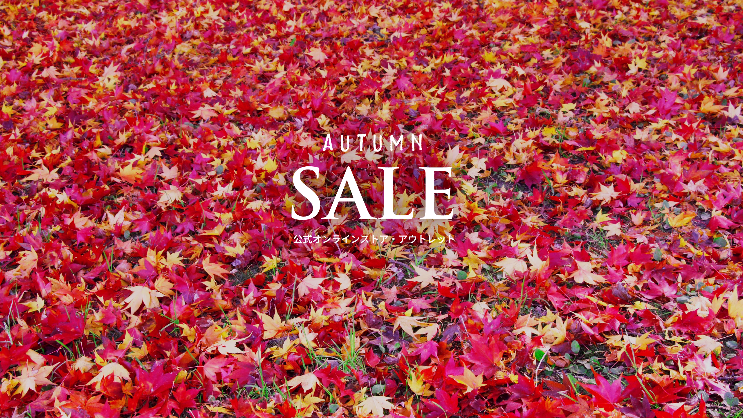 JP - AW - Sale - 25 - Desktop