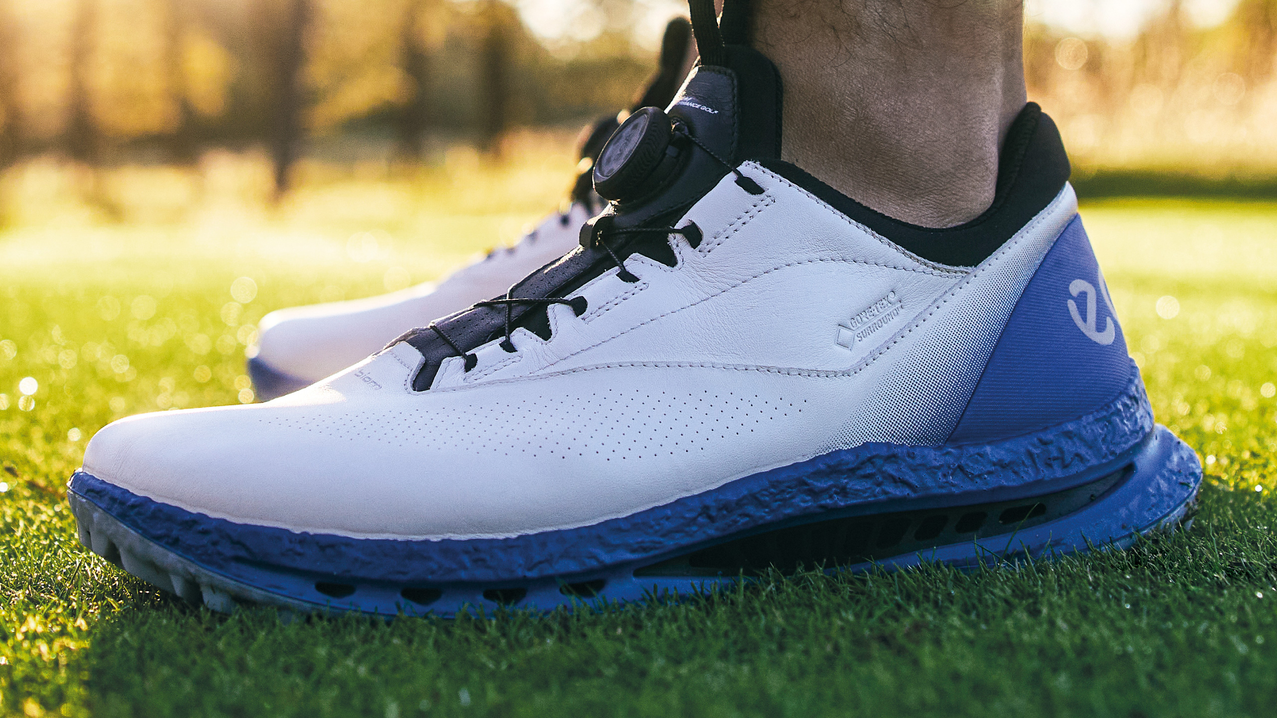 SS2026 GOLF BIOM C5｜ゴルフシューズカタログ｜エコー公式オンライン