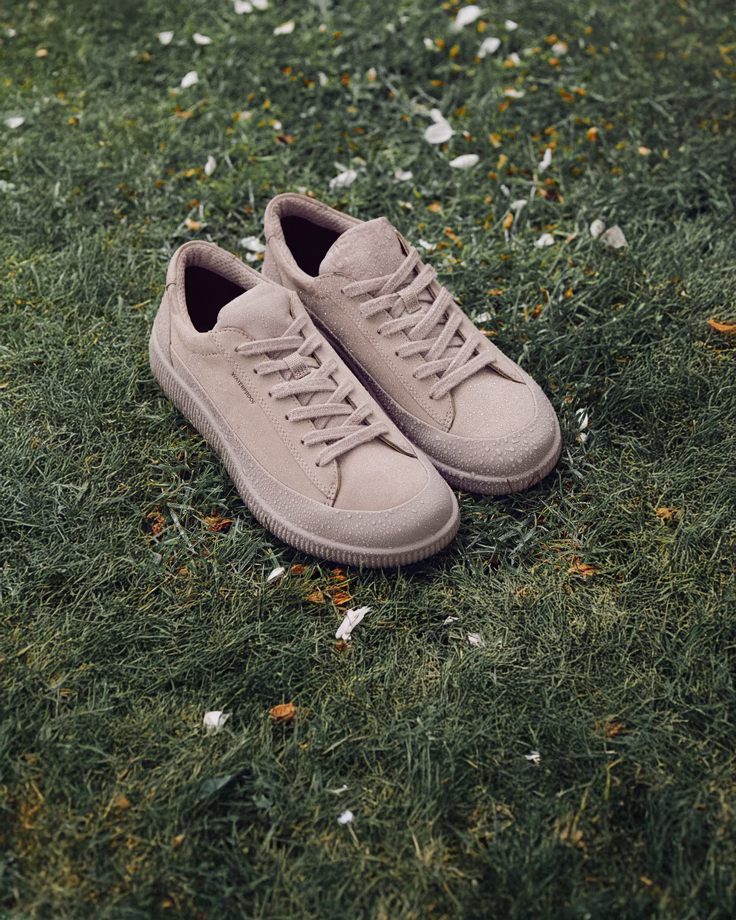 New Styles, Endless Comfort  