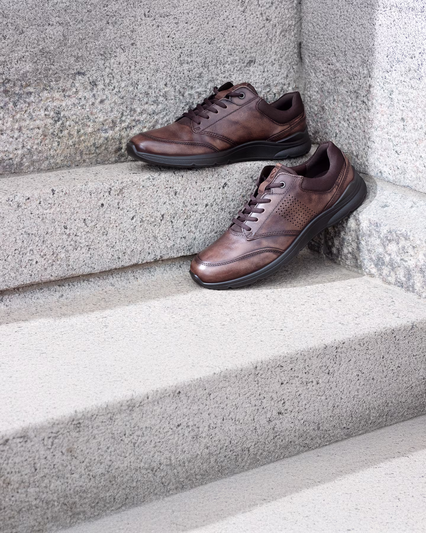 Everyday Edit V2 Hero Banner Desktop