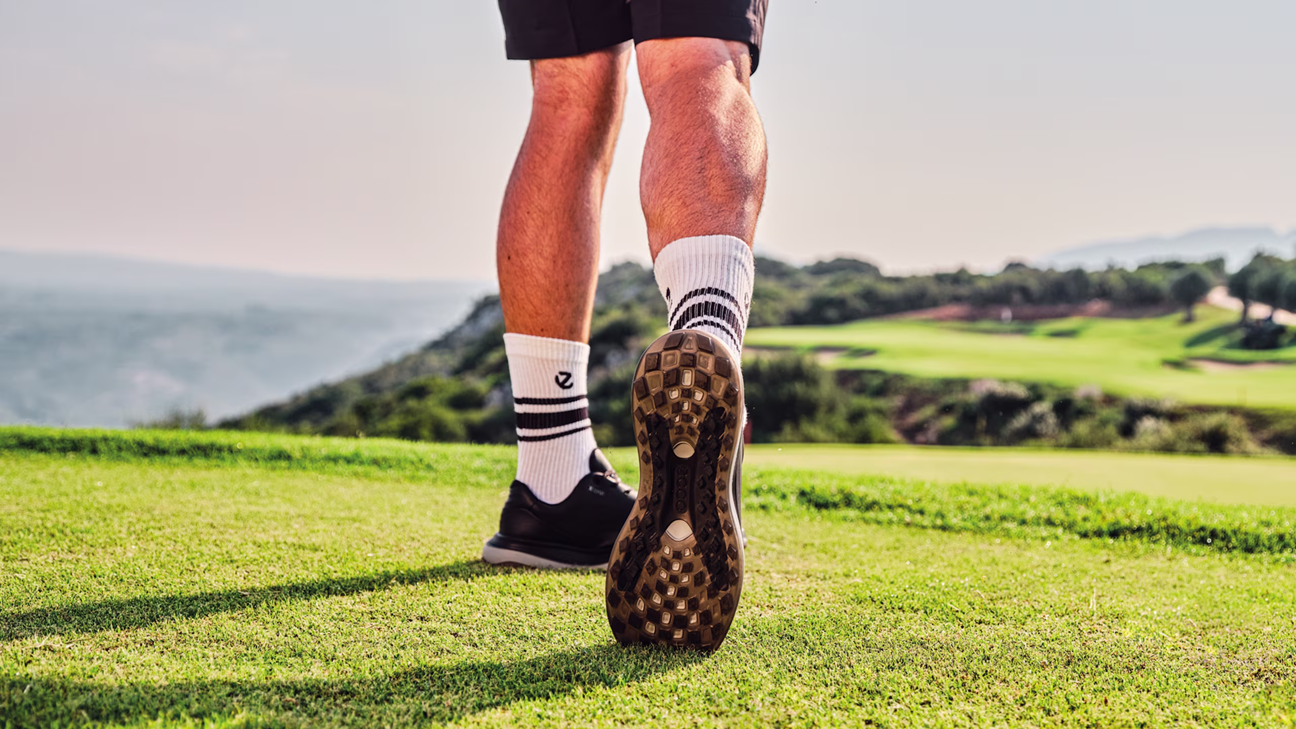 NZ - Hero - 2026_04_28_hero_desktop_13226401001