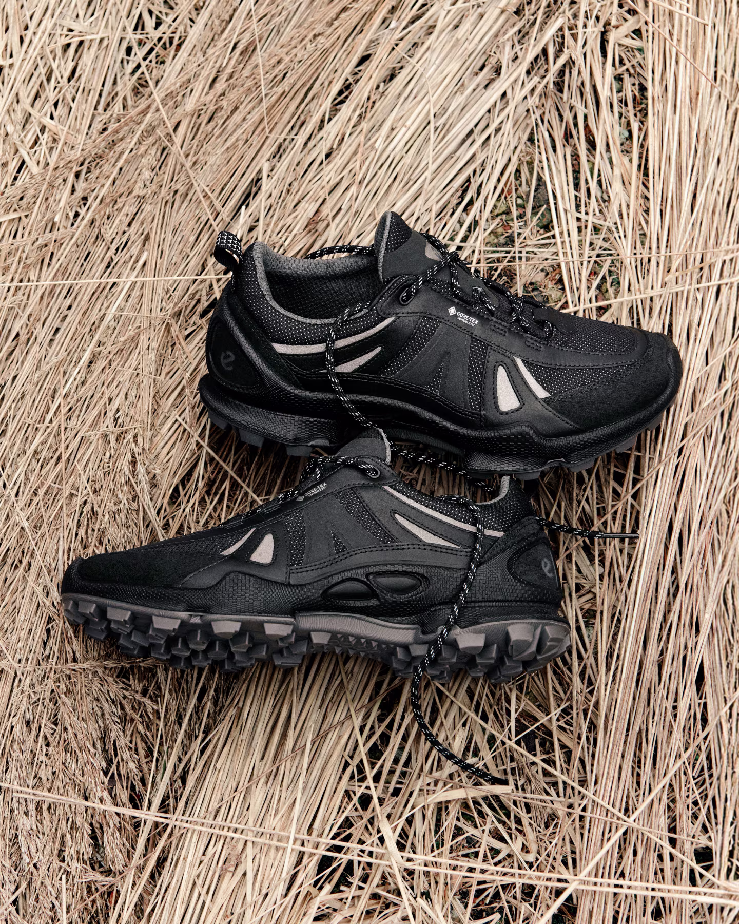 Campaign - AW25 - Biom Franchise