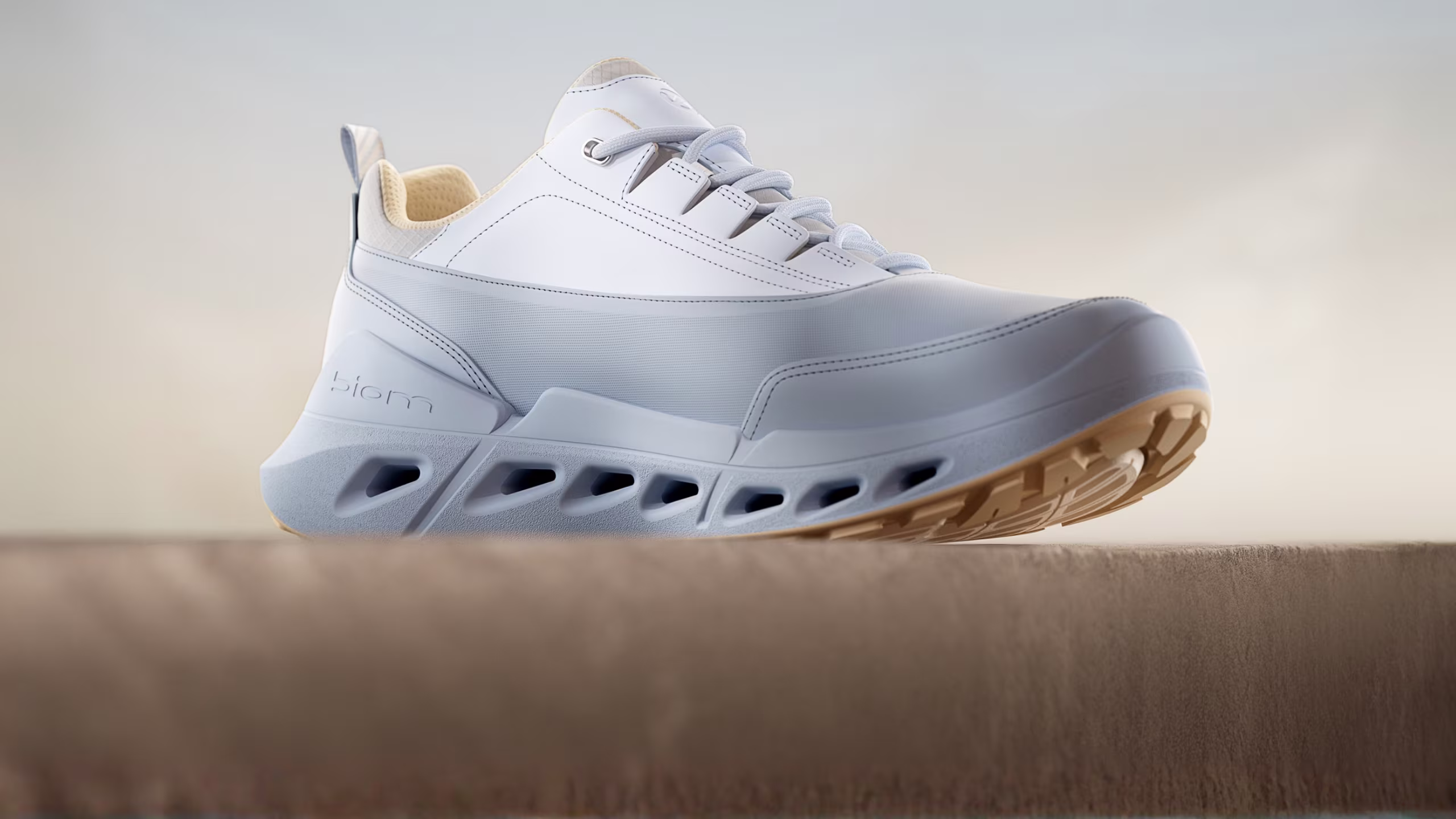 JP - Hero - 2026 - BIOM 720 - Banner - Desktop