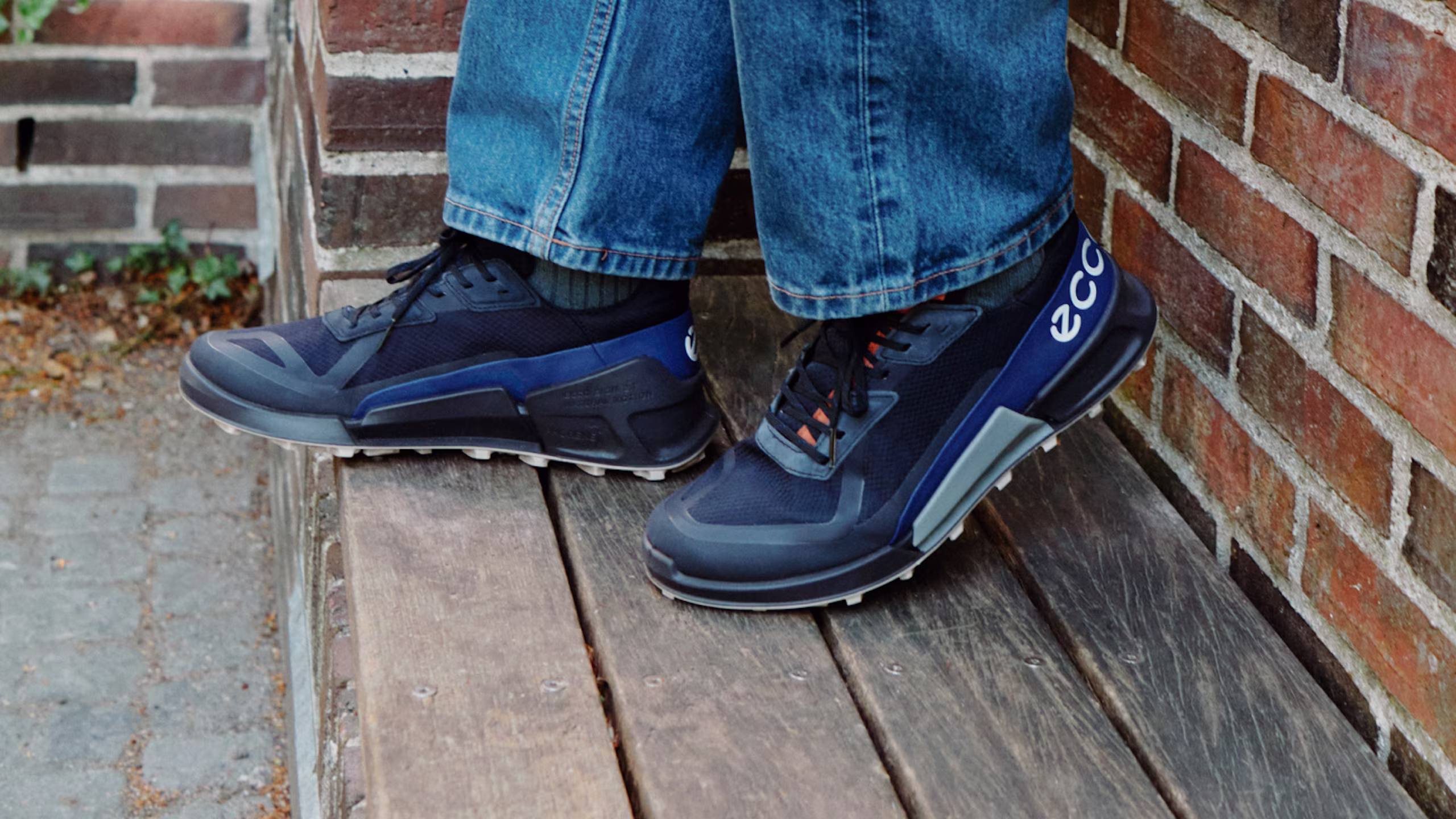 Mens Favourite Pair of Shoes 