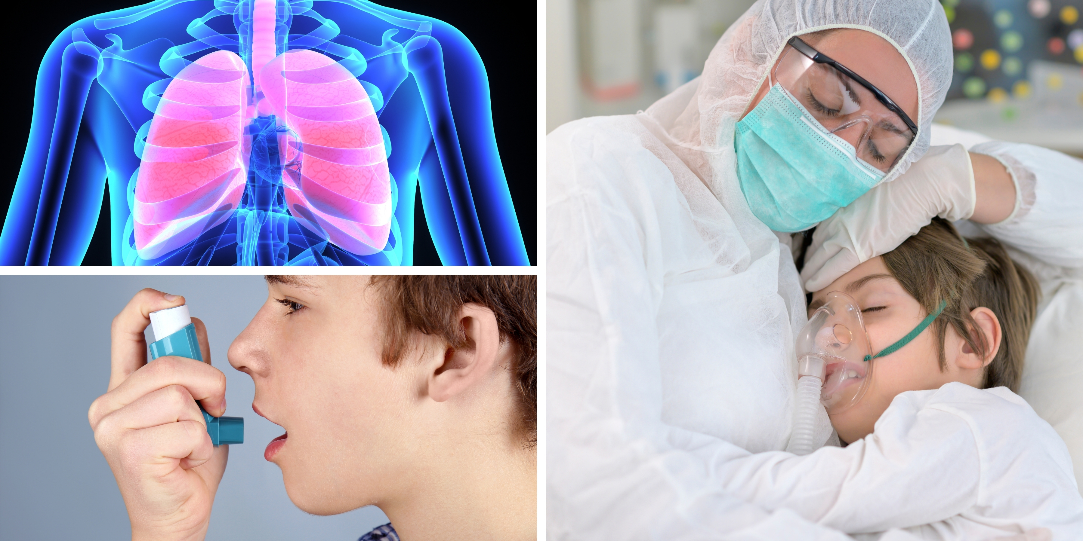 World Congress and Expo on Pulmonology & Respiratory Diseases