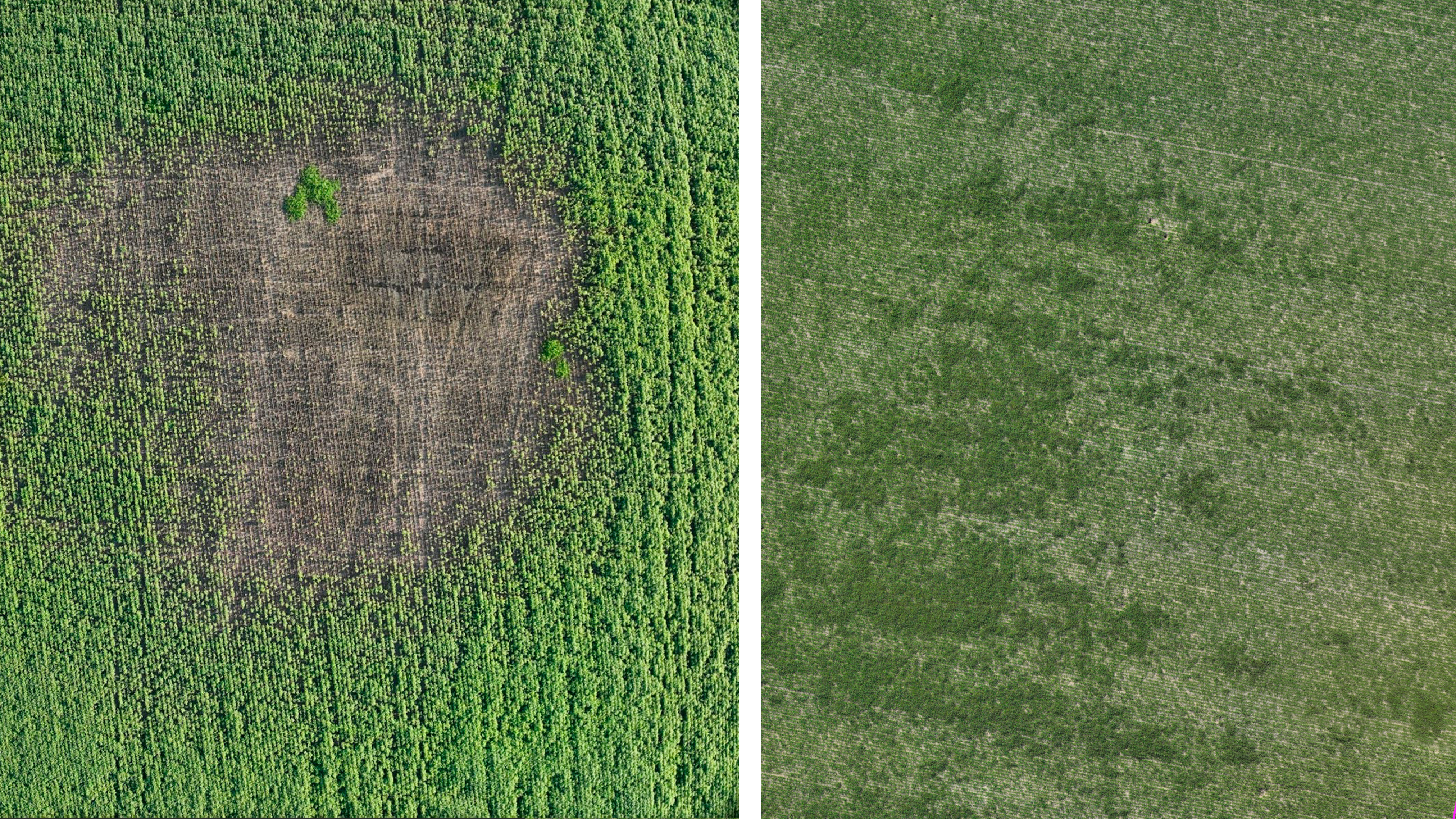 IMA BLOG Leonardo Sager use case 1