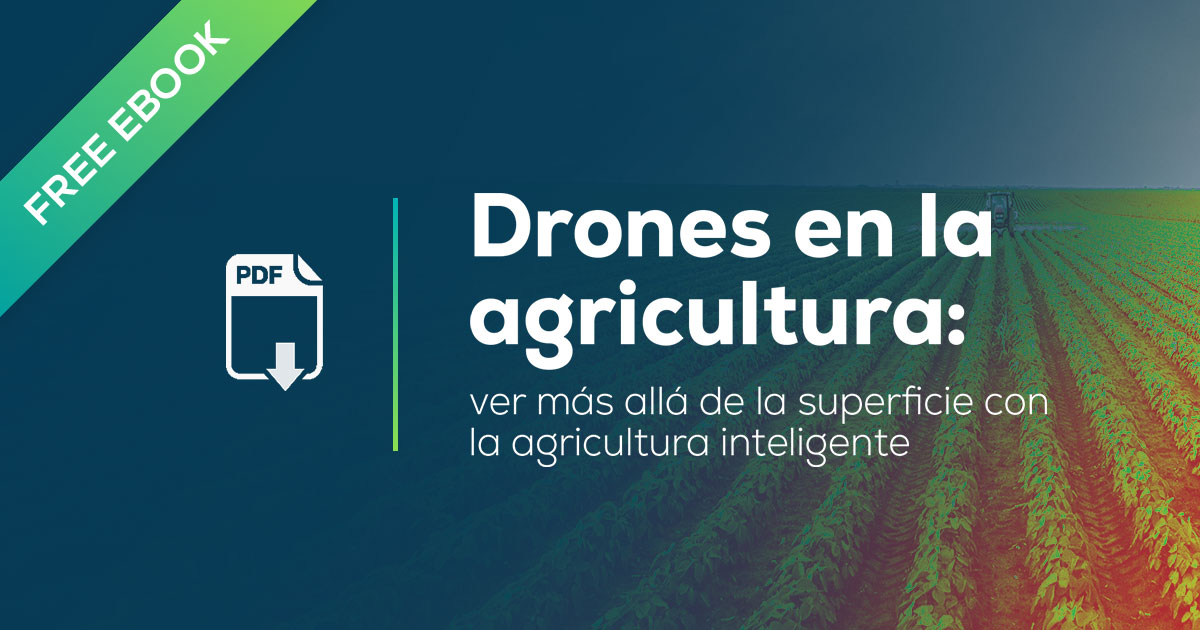 Los drones en la agricultura - Ver más allá de la superficie con la agricultura inteligente