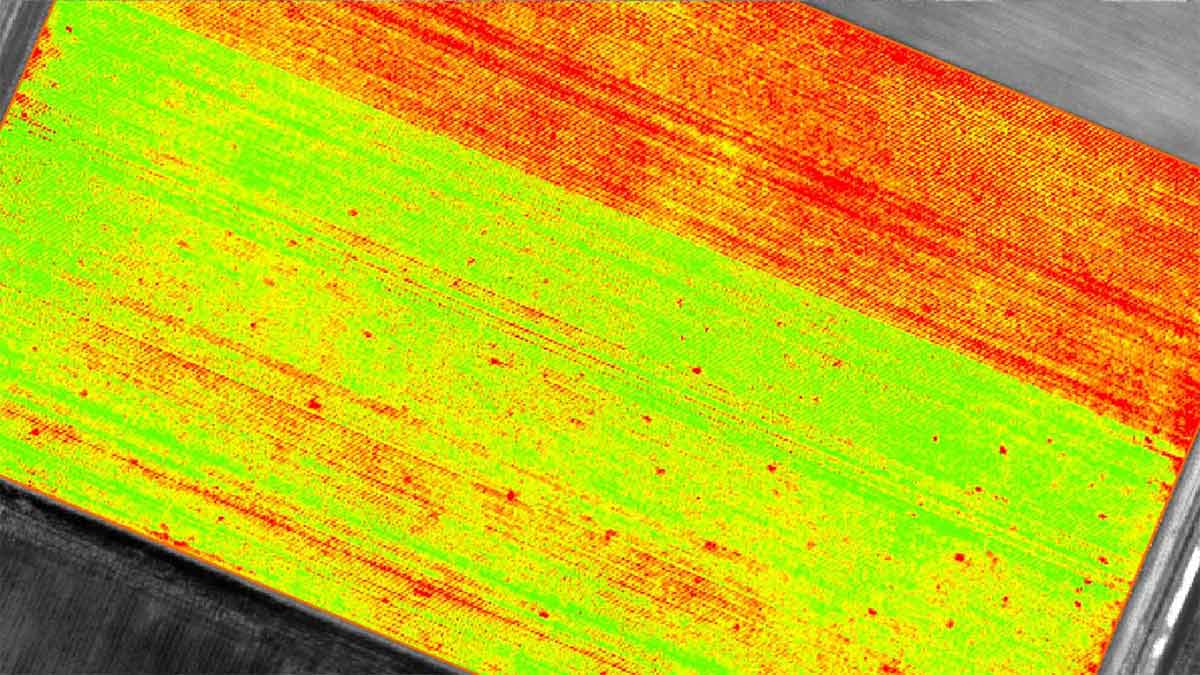 Exportieren Sie Indexkarten aus Pix4Dmapper