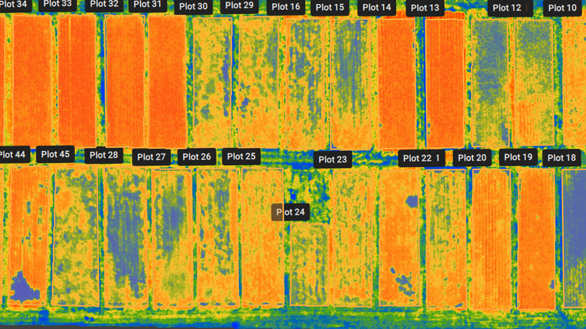 trial plots in Pix4Dfields