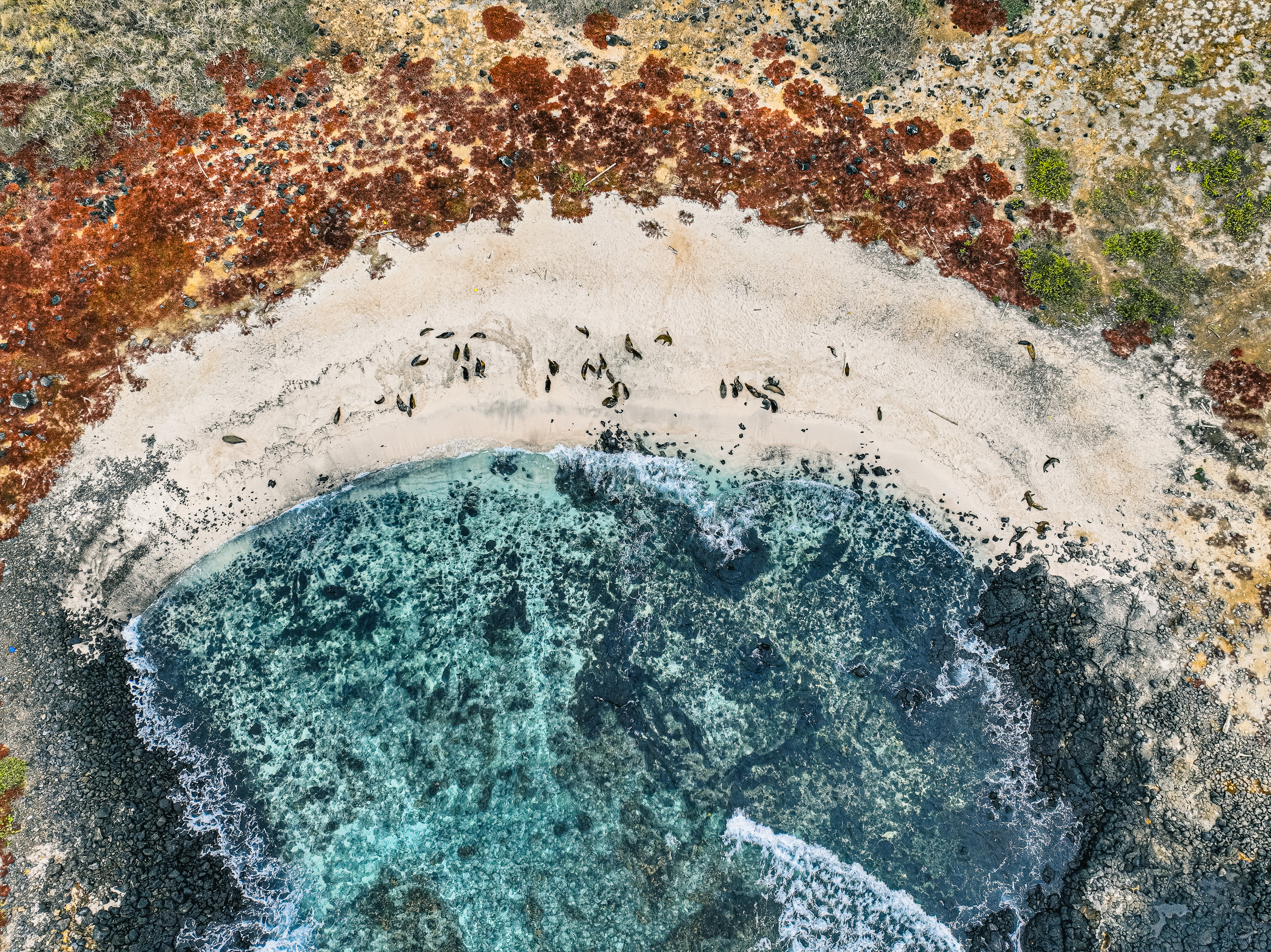 28102024-DJI 20241028102518 0004 V