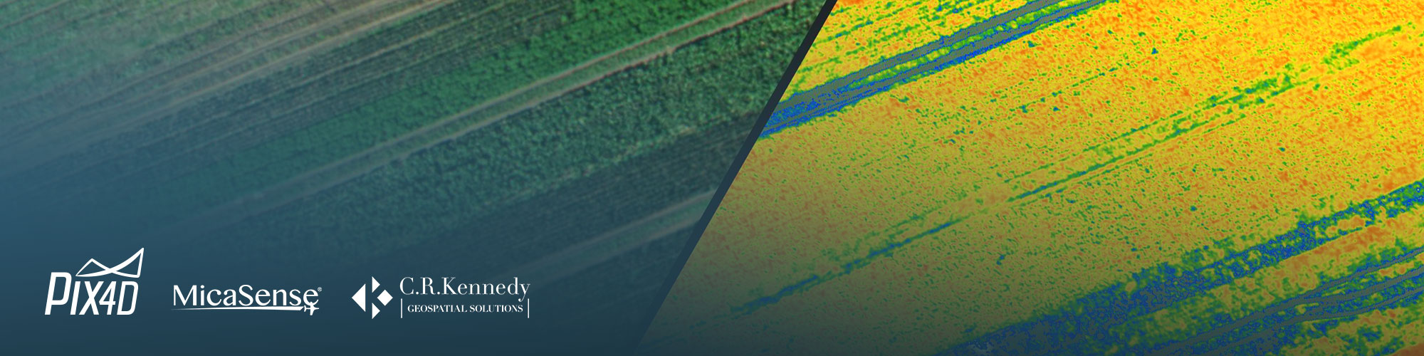 Processing workflow and applications of multispectral imagery with MicaSense and Pix4Dfields