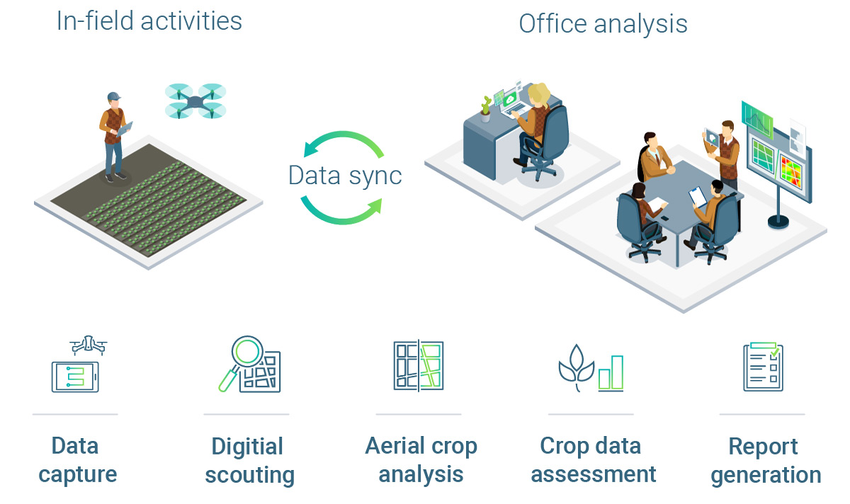 Pix4Dfields Data Sync