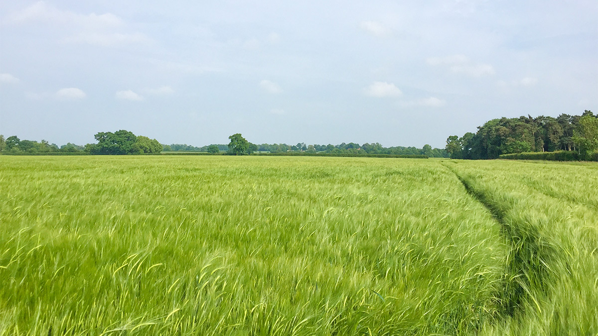 HEA AGR Pix4Dfields 1.5 Release