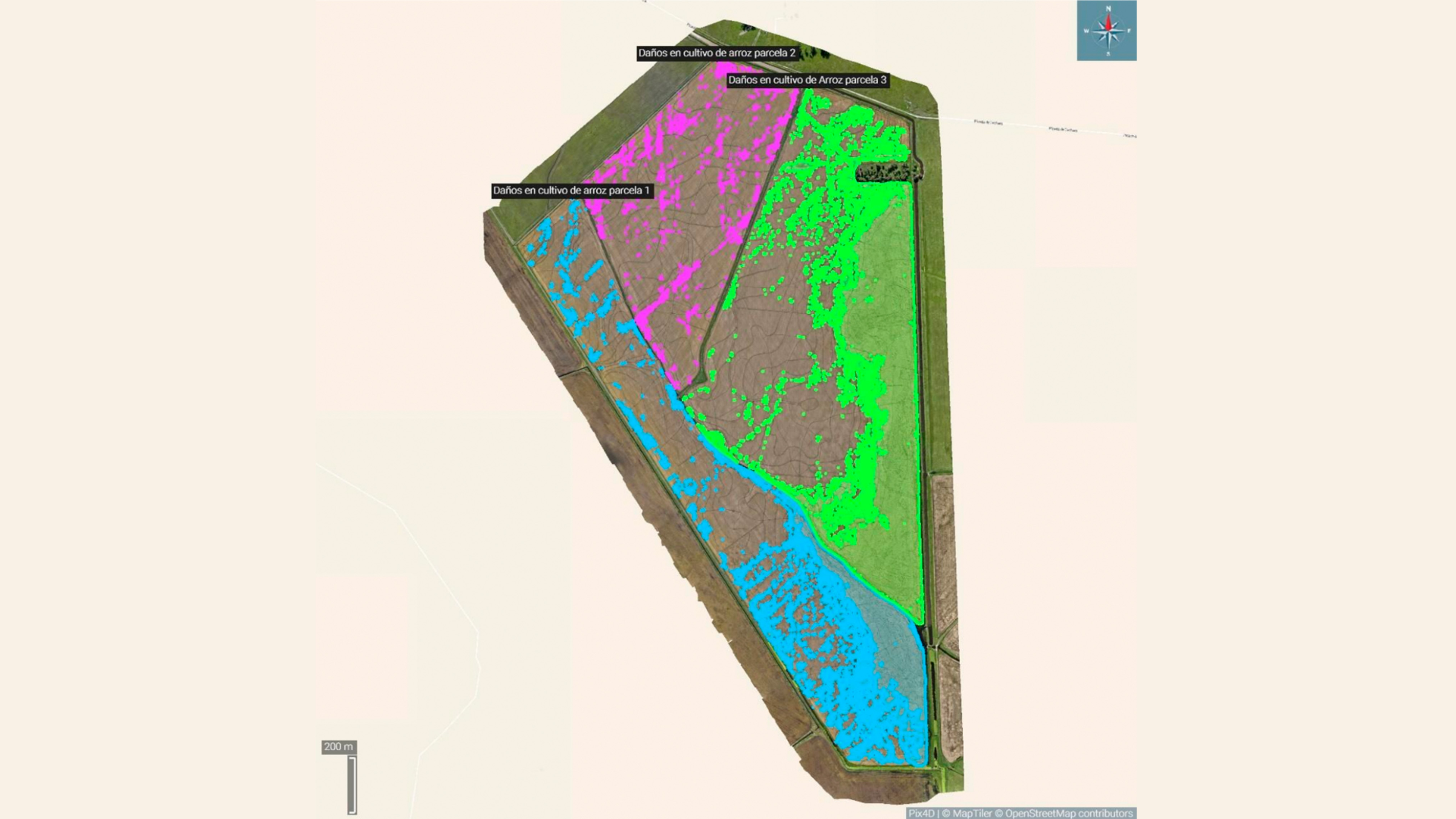 IMA BLOG AGR KPN Group Wind damage in rice 3