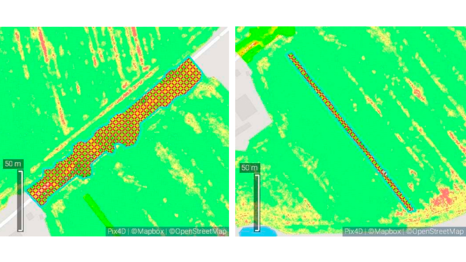 IMG BLO AGR Wildlife damage assessment 3