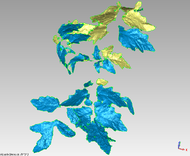 tomato plant ndvi model