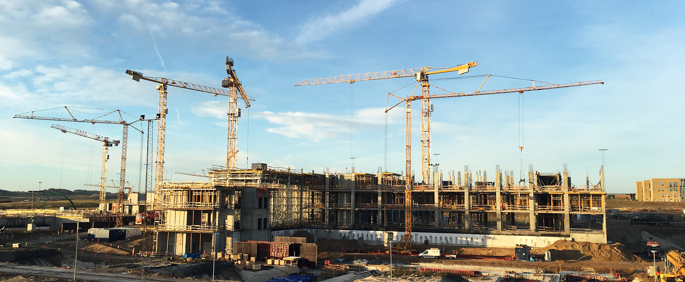 Cranes on a contruction site.