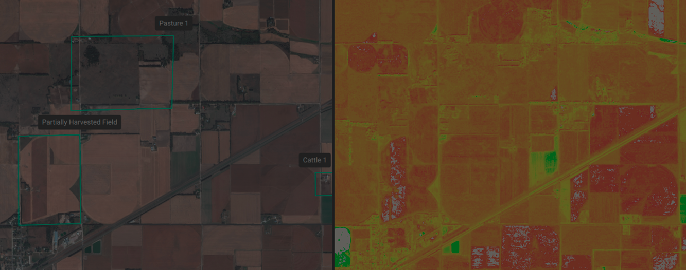 Access your fields from anywhere: High-resolution data and detailed insights