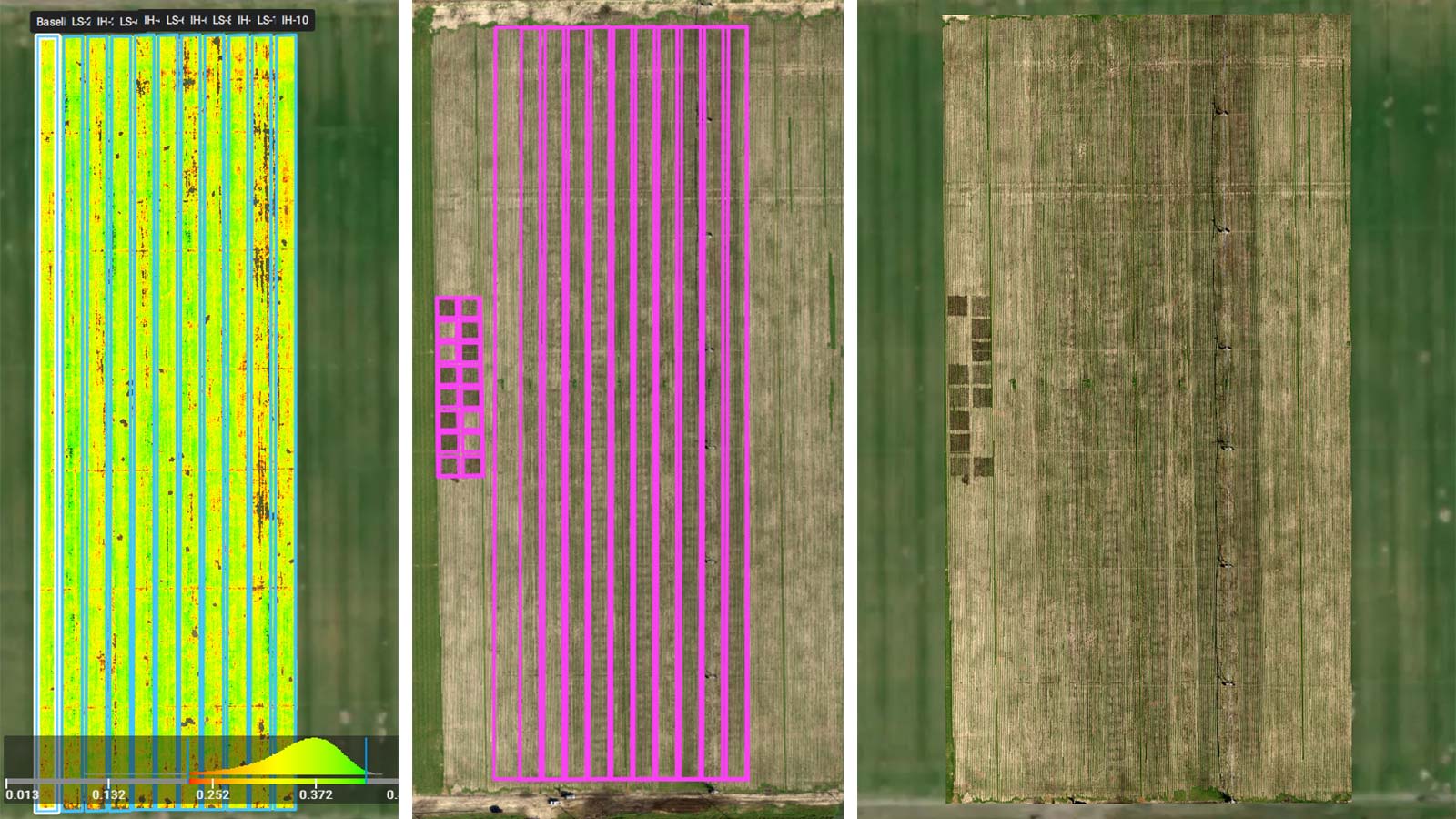 Towards sustainable farming: cost-saving fertilization | Pix4D