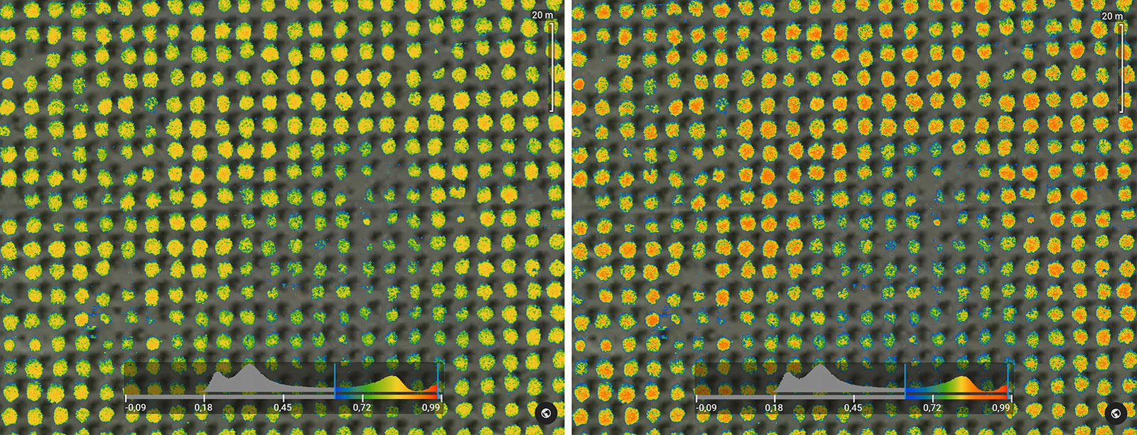 NDVI map with histogram equalization