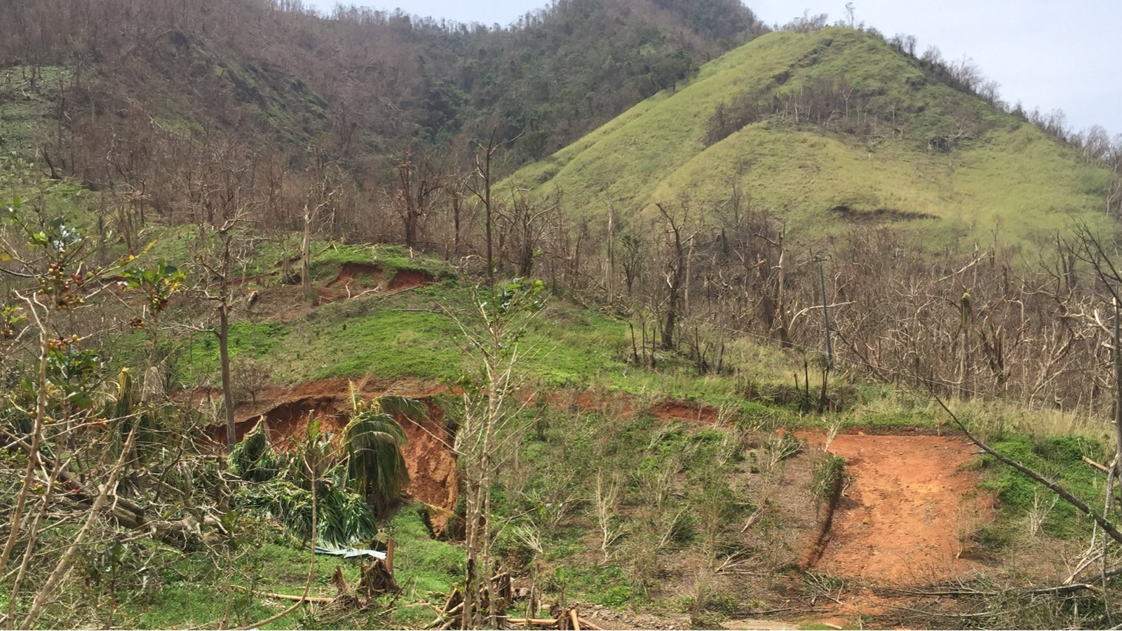 Danos causados pelo furacão Maria em Porto Rico, fonte de fotos: Erica Reyes, SCA