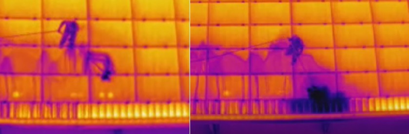 A thermal image of a purple figure hosing a yellow solar panel. 